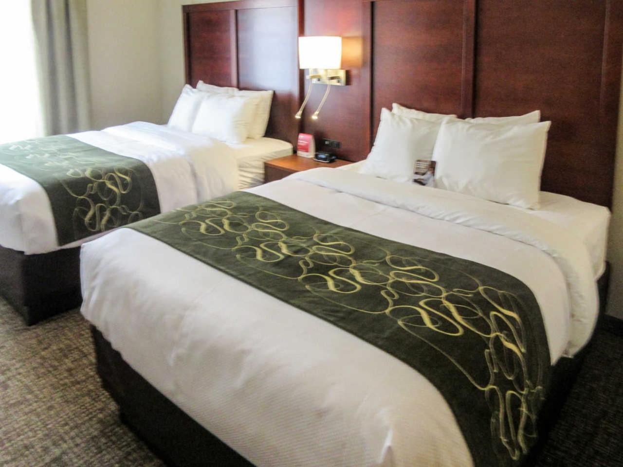 Comfort Suites Kyle photo 4