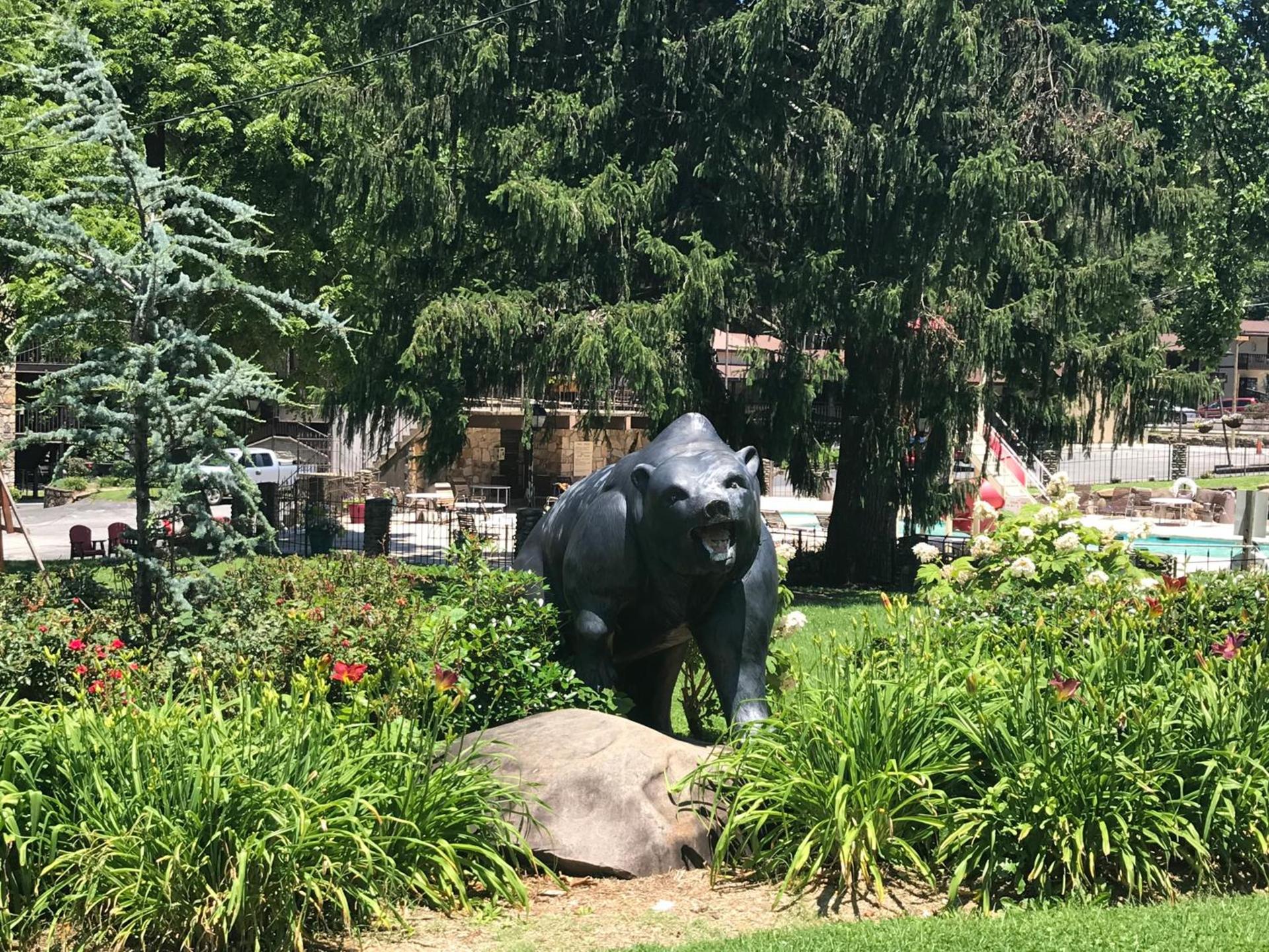 Brookside Lodge - Gatlinburg - On the River photo 40