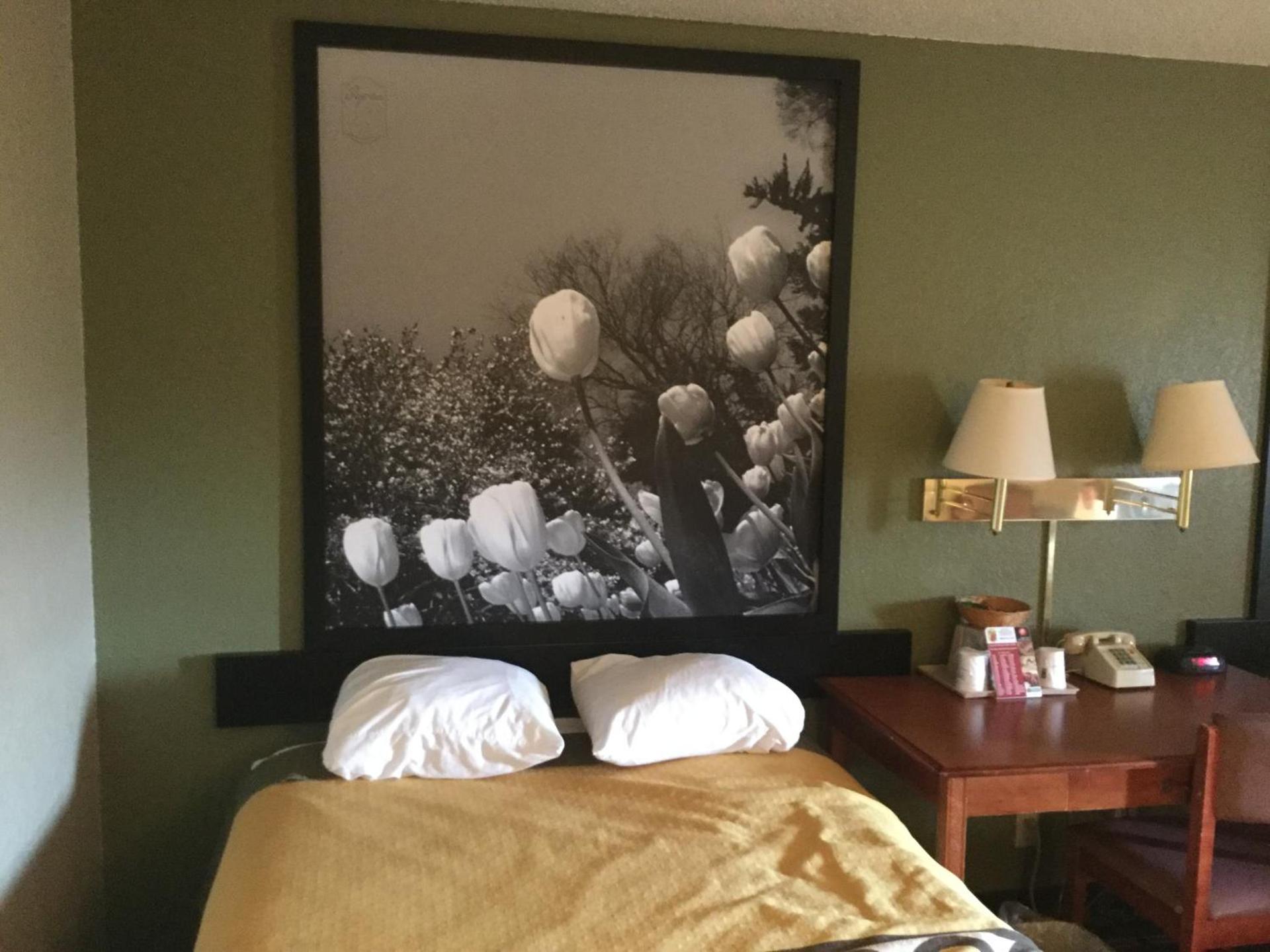 Super 8 by Wyndham Youngstown/Austintown photo 22