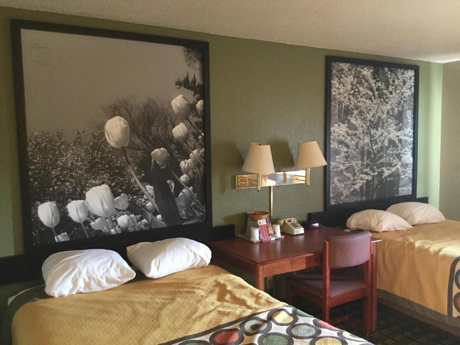 Super 8 by Wyndham Youngstown/Austintown photo 23
