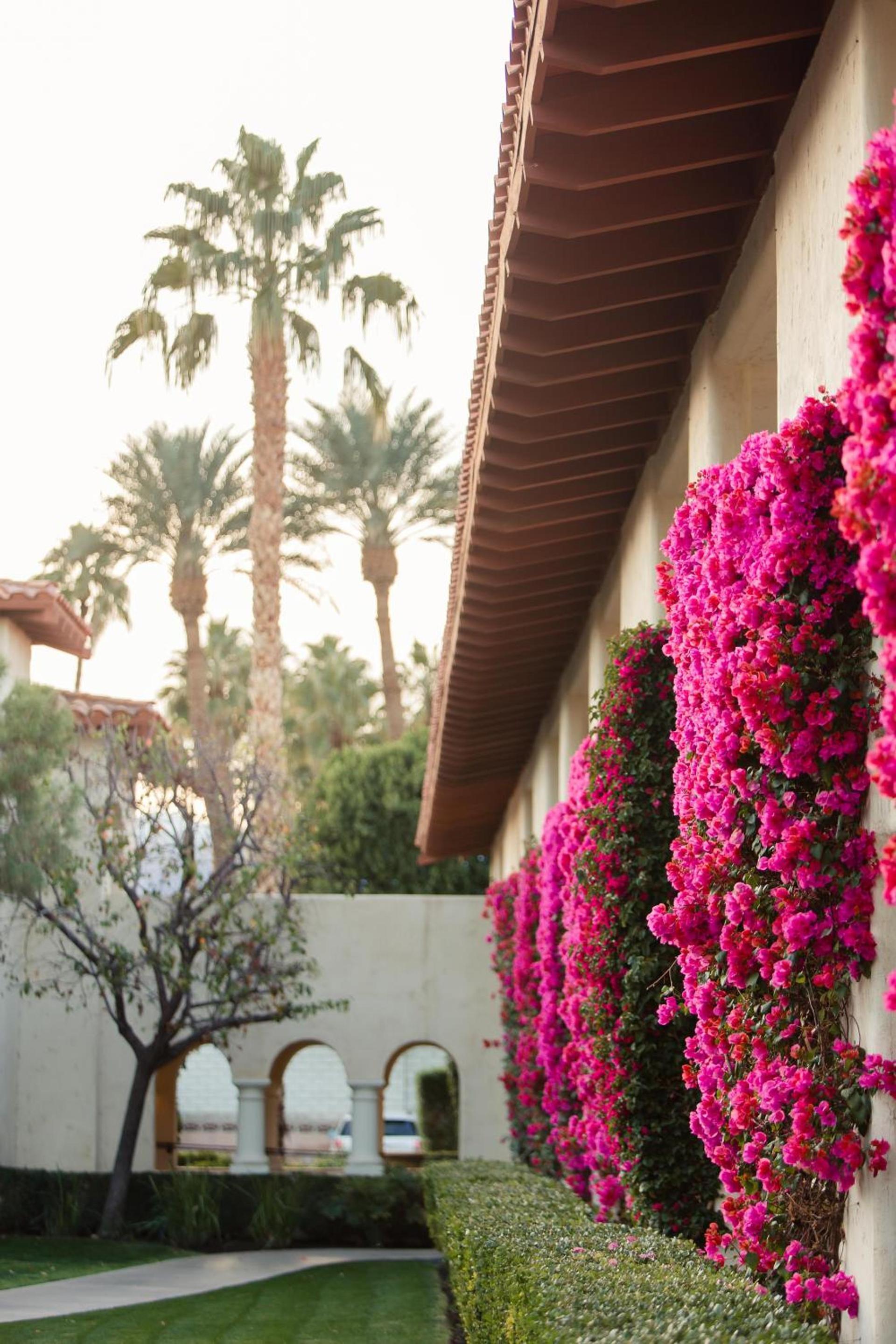 Tommy Bahama Miramonte Resort & Spa photo 11