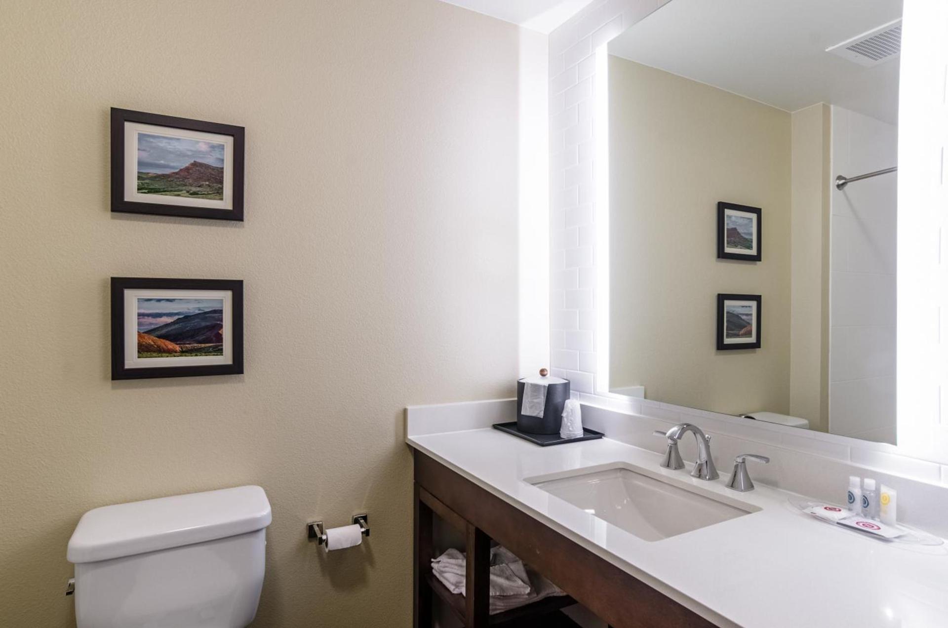 Comfort Suites Loveland photo 56
