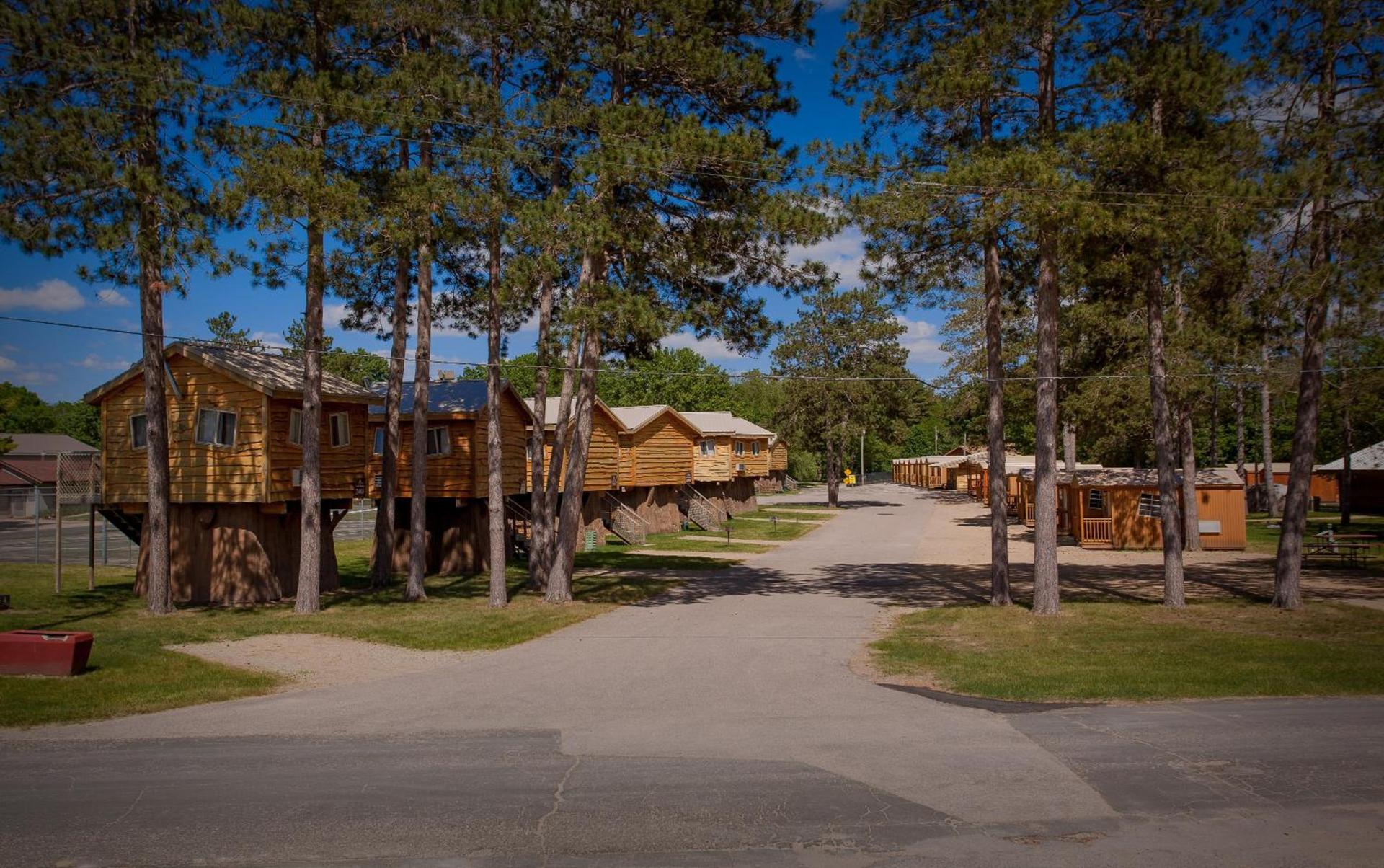Natura Treescape Resort photo 49