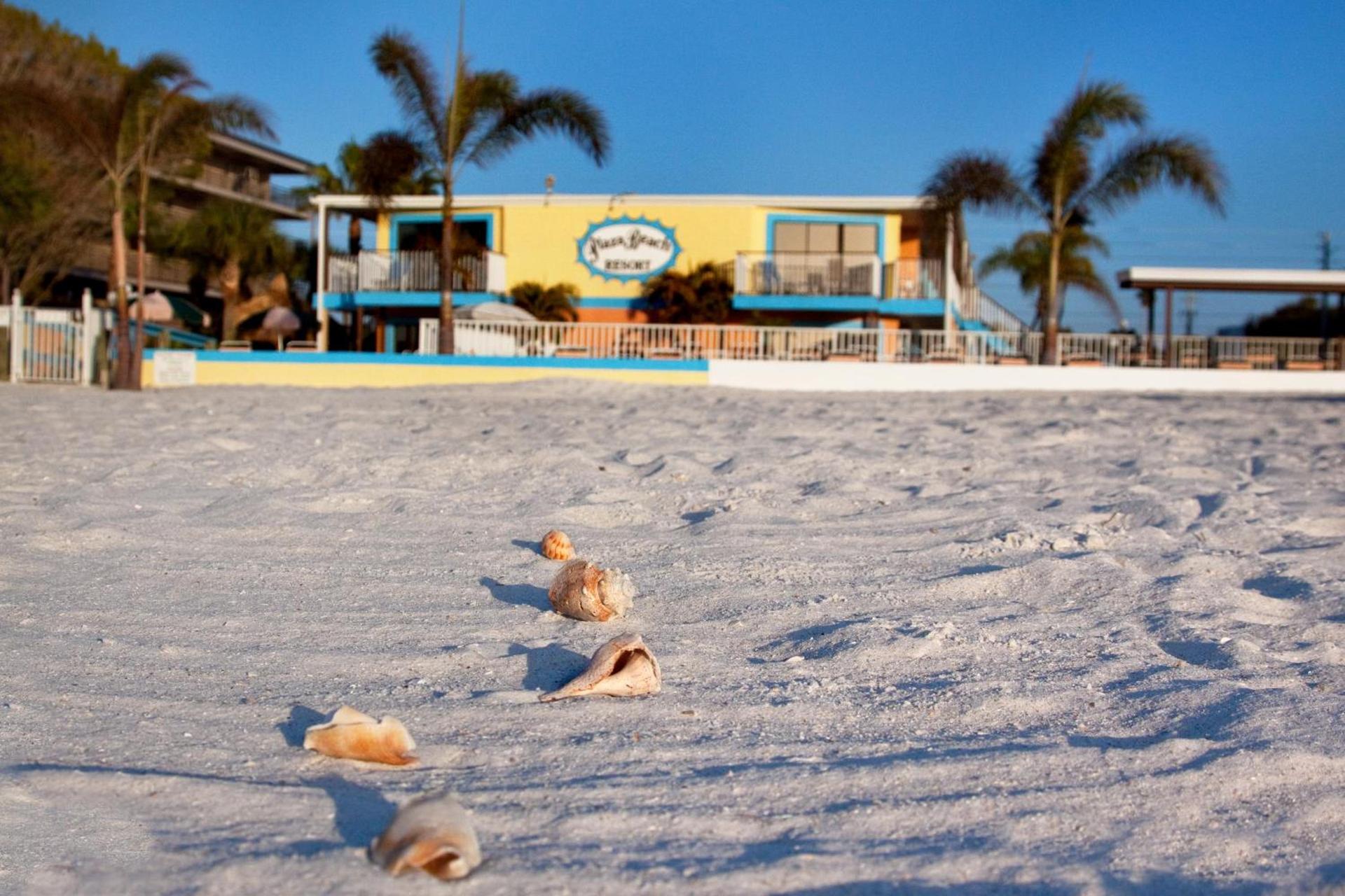 Plaza Beach Hotel - Beachfront Resort photo 31