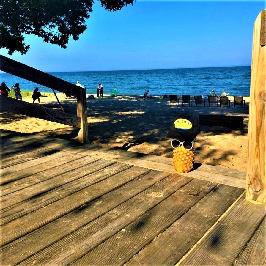 Gold Coast Family Cottages photo 37
