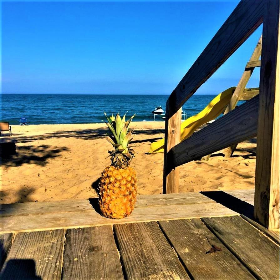 Gold Coast Family Cottages photo 48