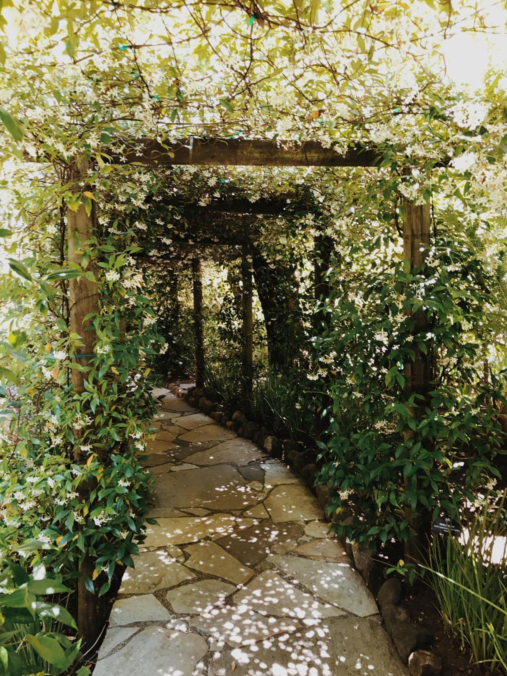 Kenwood Inn & Spa photo 9