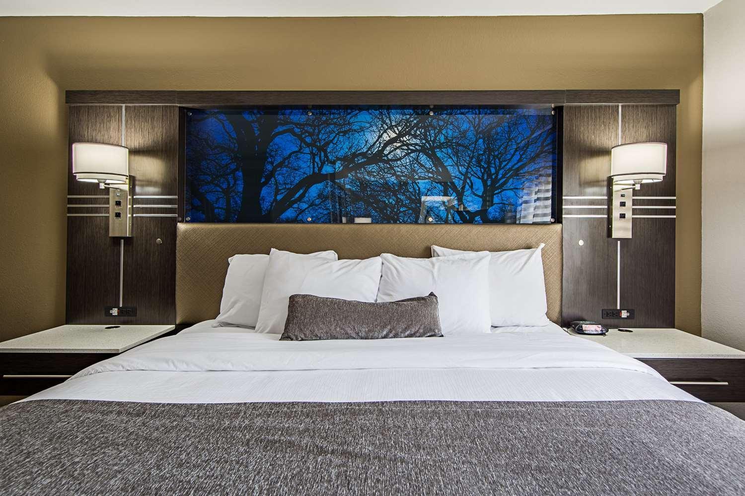 Best Western Plus Clemson Hotel & Conference Center photo 28