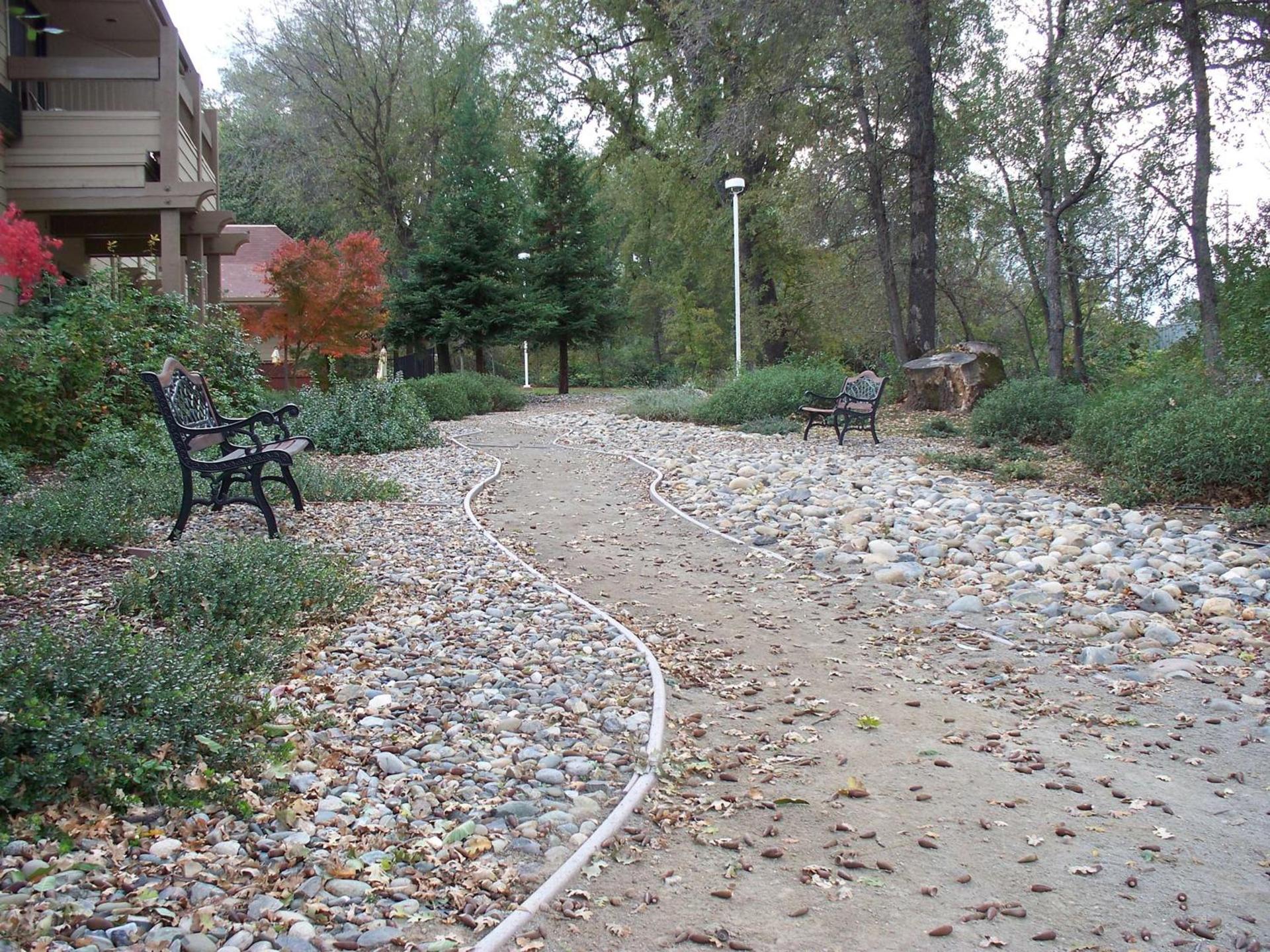 Best Western Plus Sonora Oaks Hotel and Conference Center photo 68