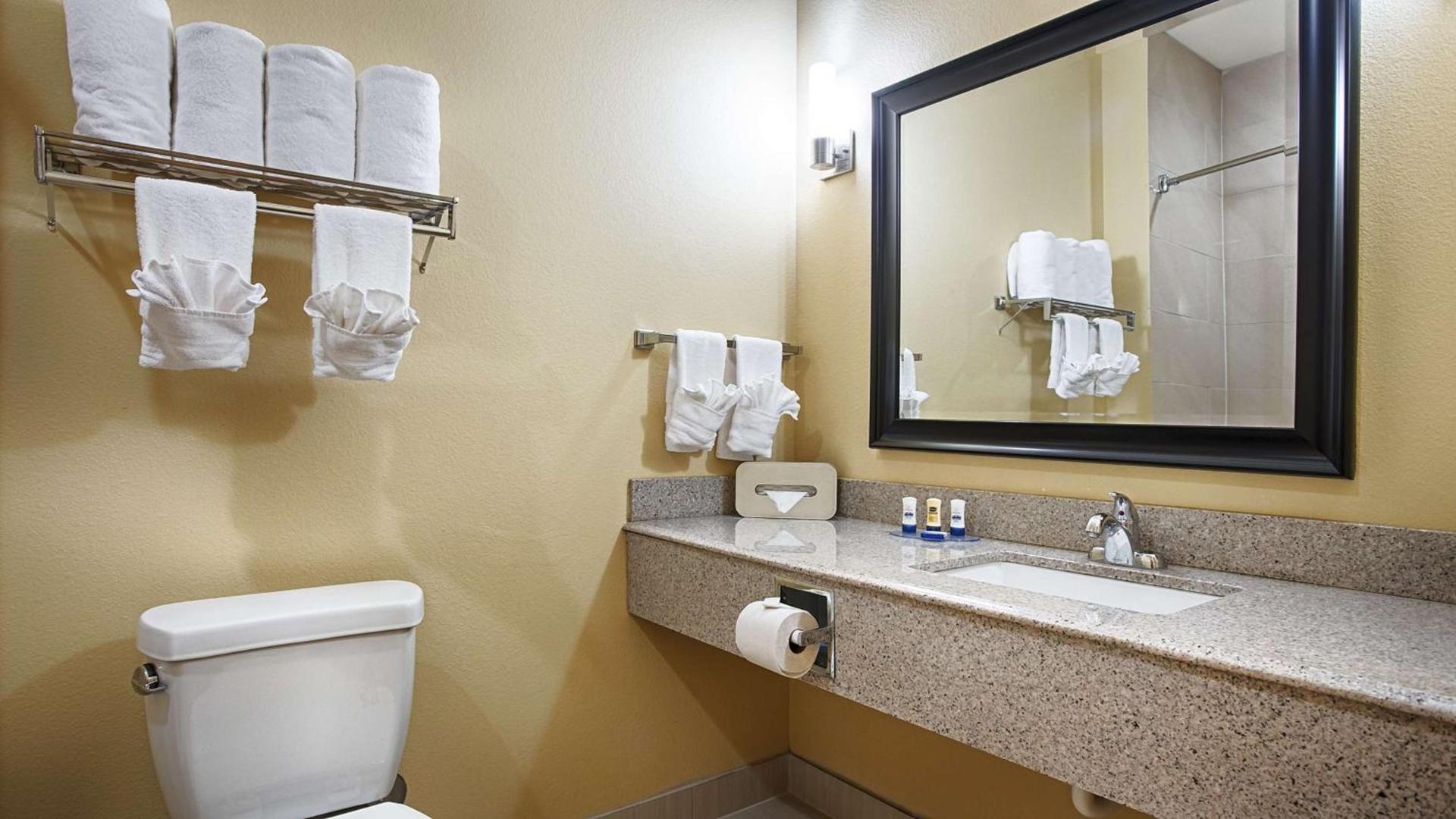 Best Western Plus Fort Worth Forest Hill Inn & Suites photo 14