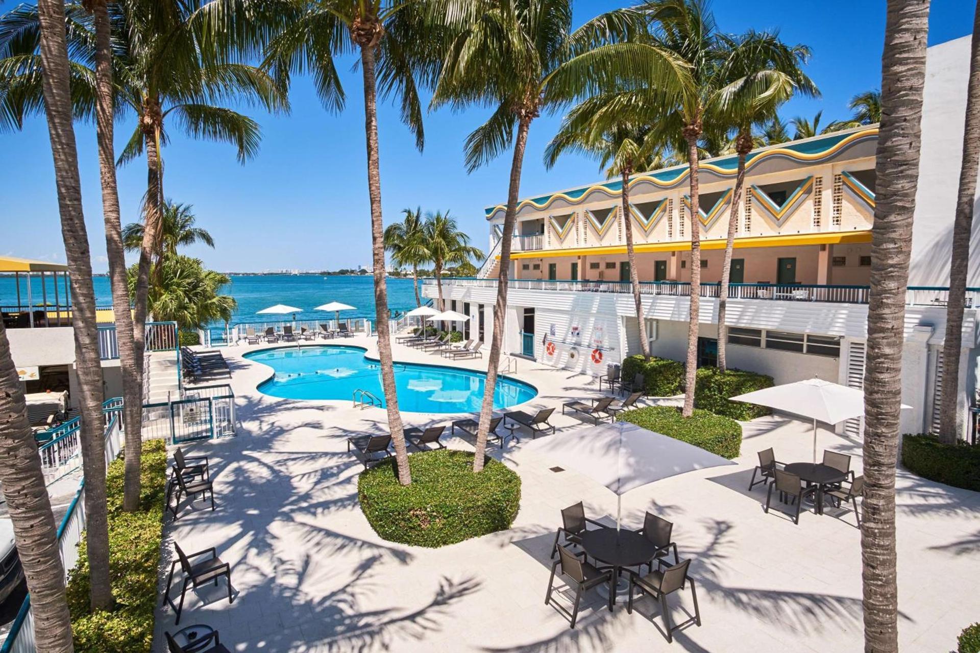 Palm Tree Club Miami photo 6