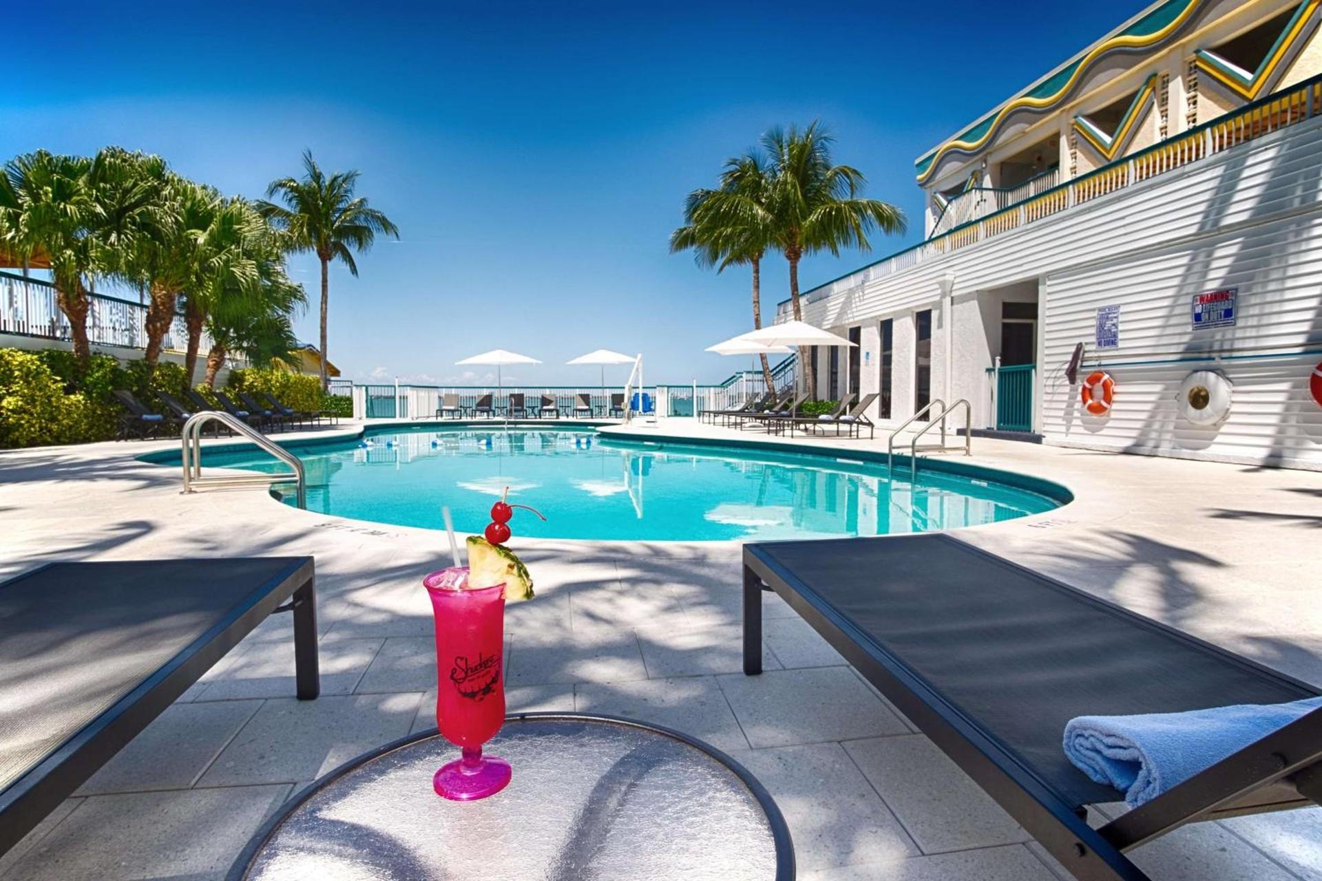 Palm Tree Club Miami photo 3