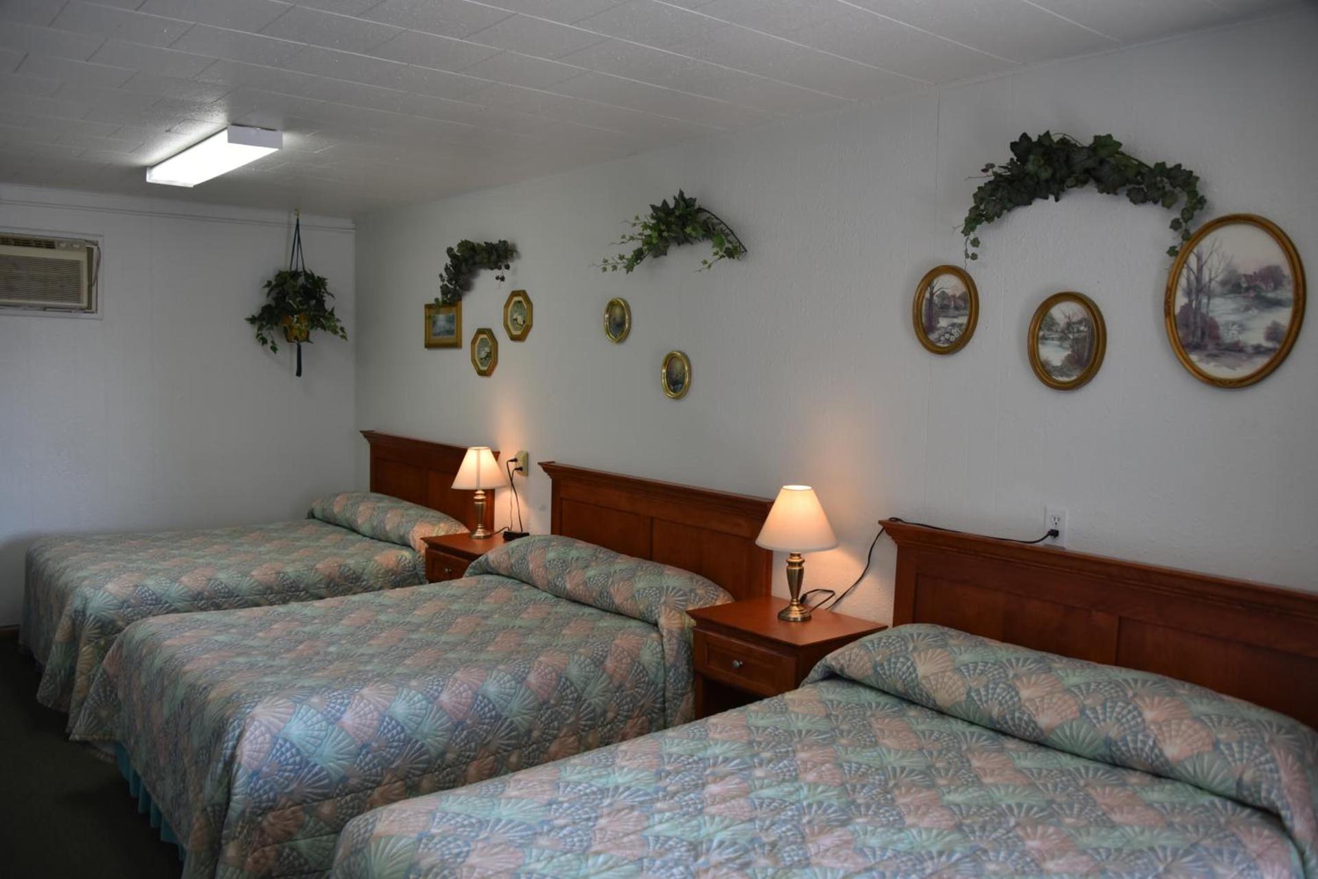 Royals Inn Motel photo 6