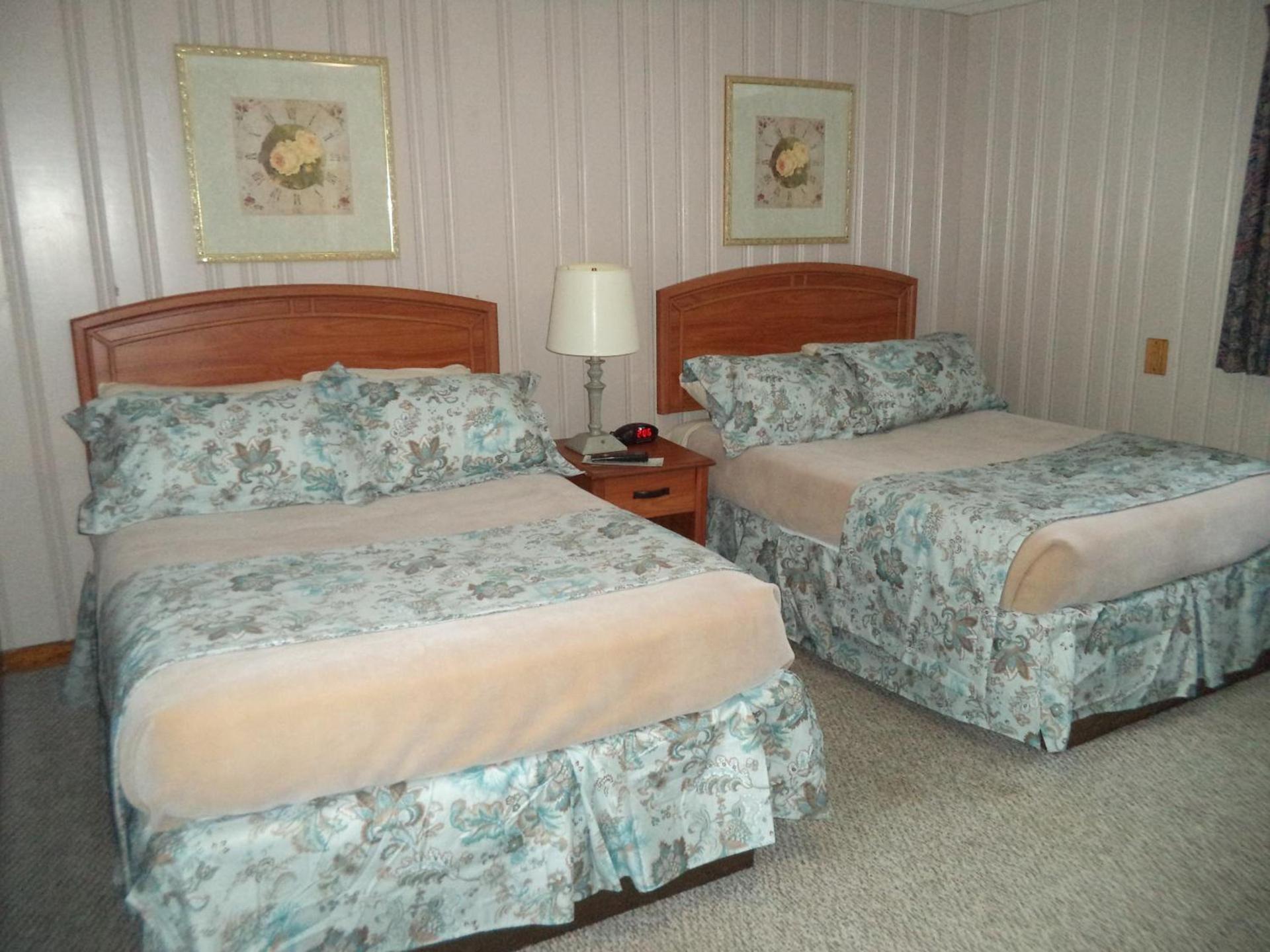Mount Blue Motel photo 12