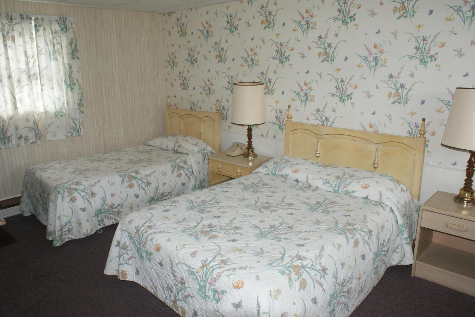 Northern Peaks Motor Inn photo 74