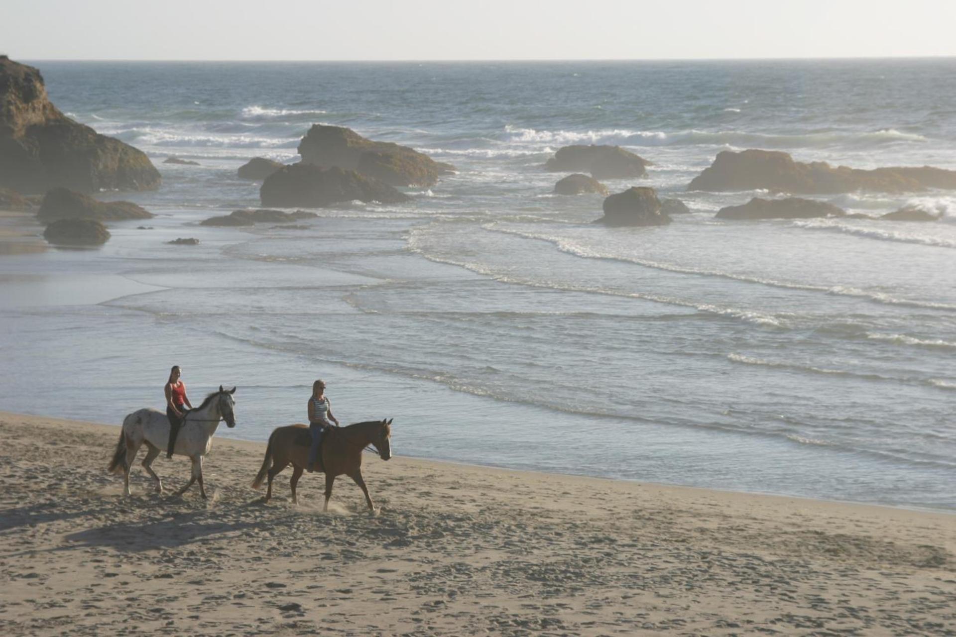 Surf and Sand Lodge photo 22