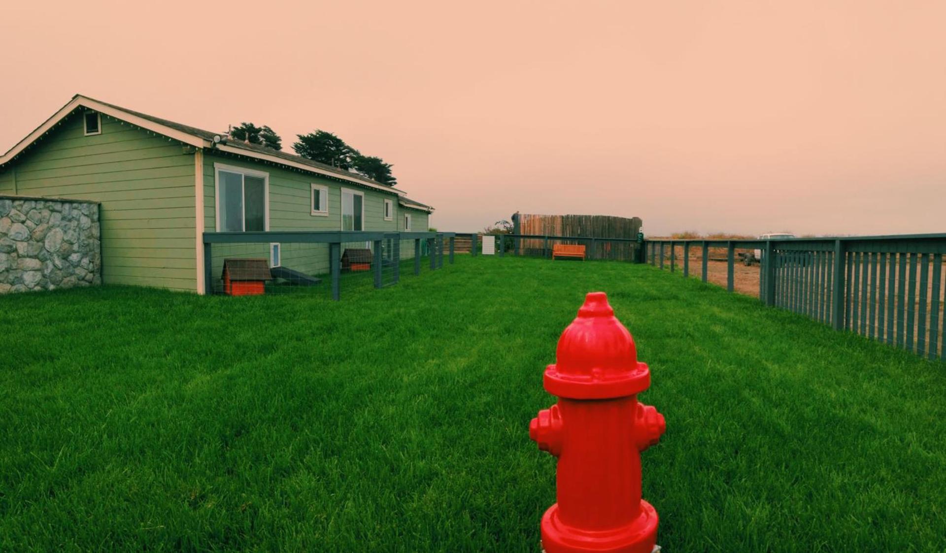Beachcomber Motel photo 5