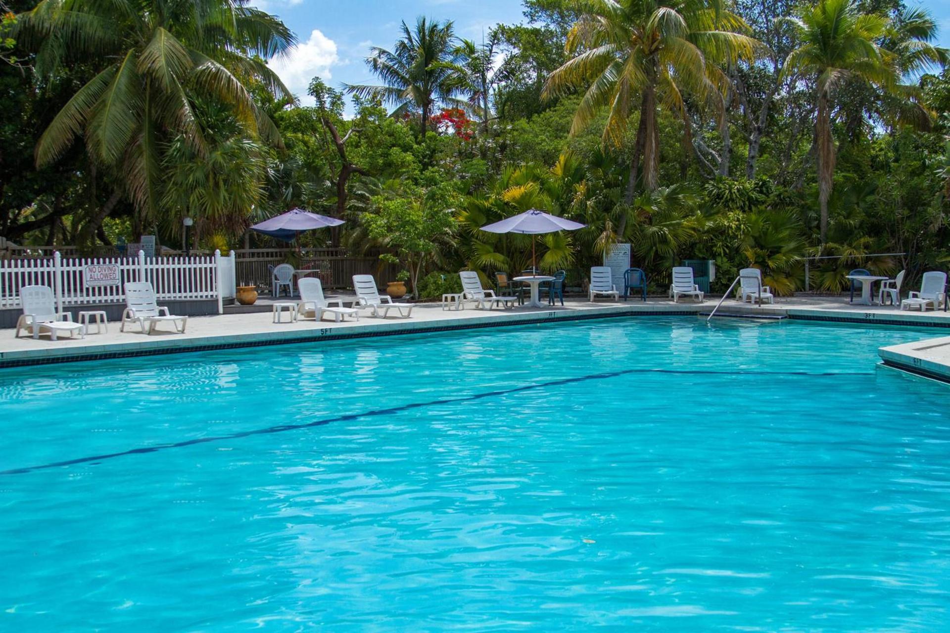 Banana Bay Resort & Marina photo 68