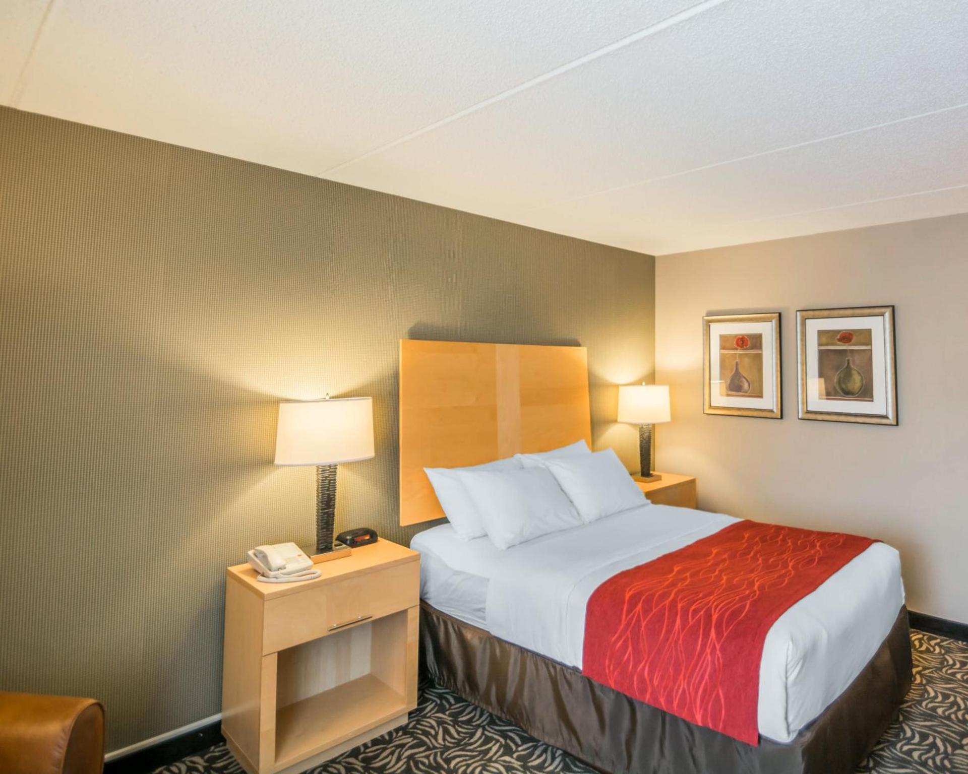 Comfort Inn - NYS Fairgrounds photo 18