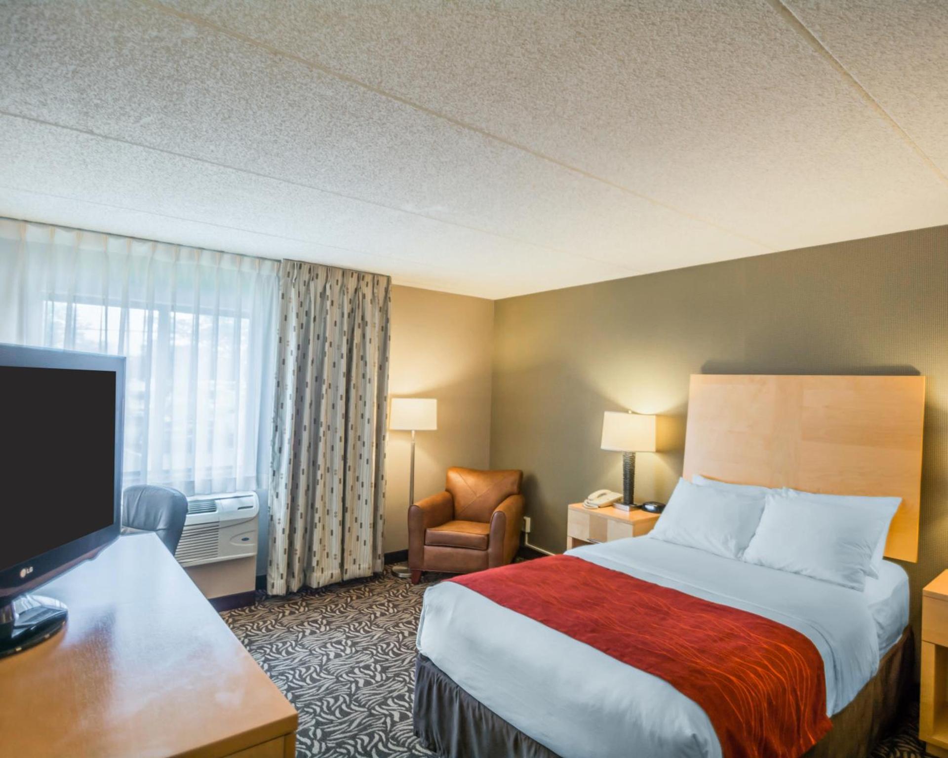 Comfort Inn - NYS Fairgrounds photo 20