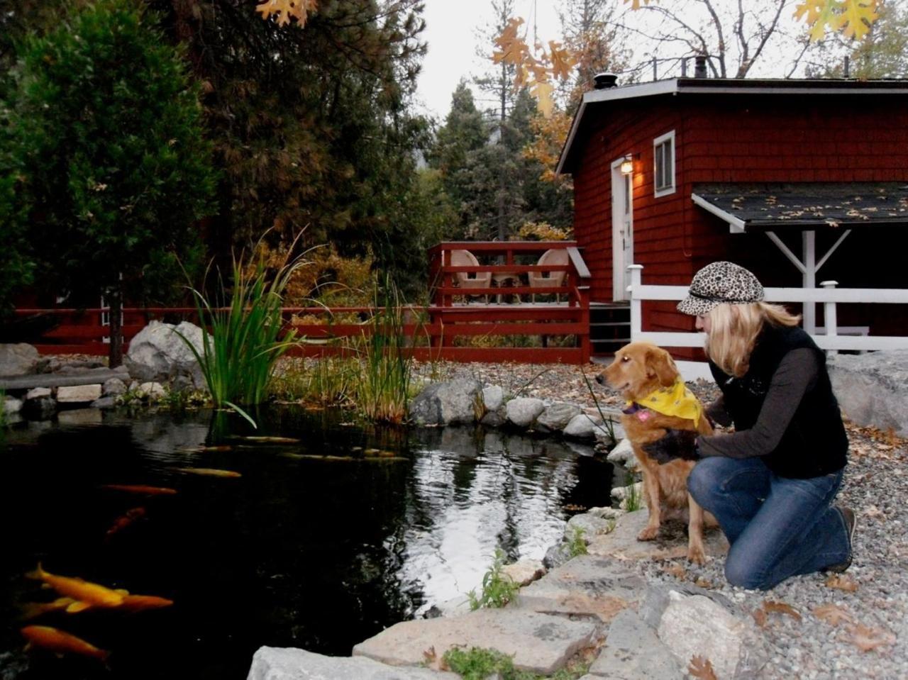 Silver Pines Lodge photo 26