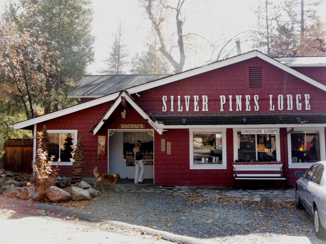 Silver Pines Lodge — hotel in Idyllwild
