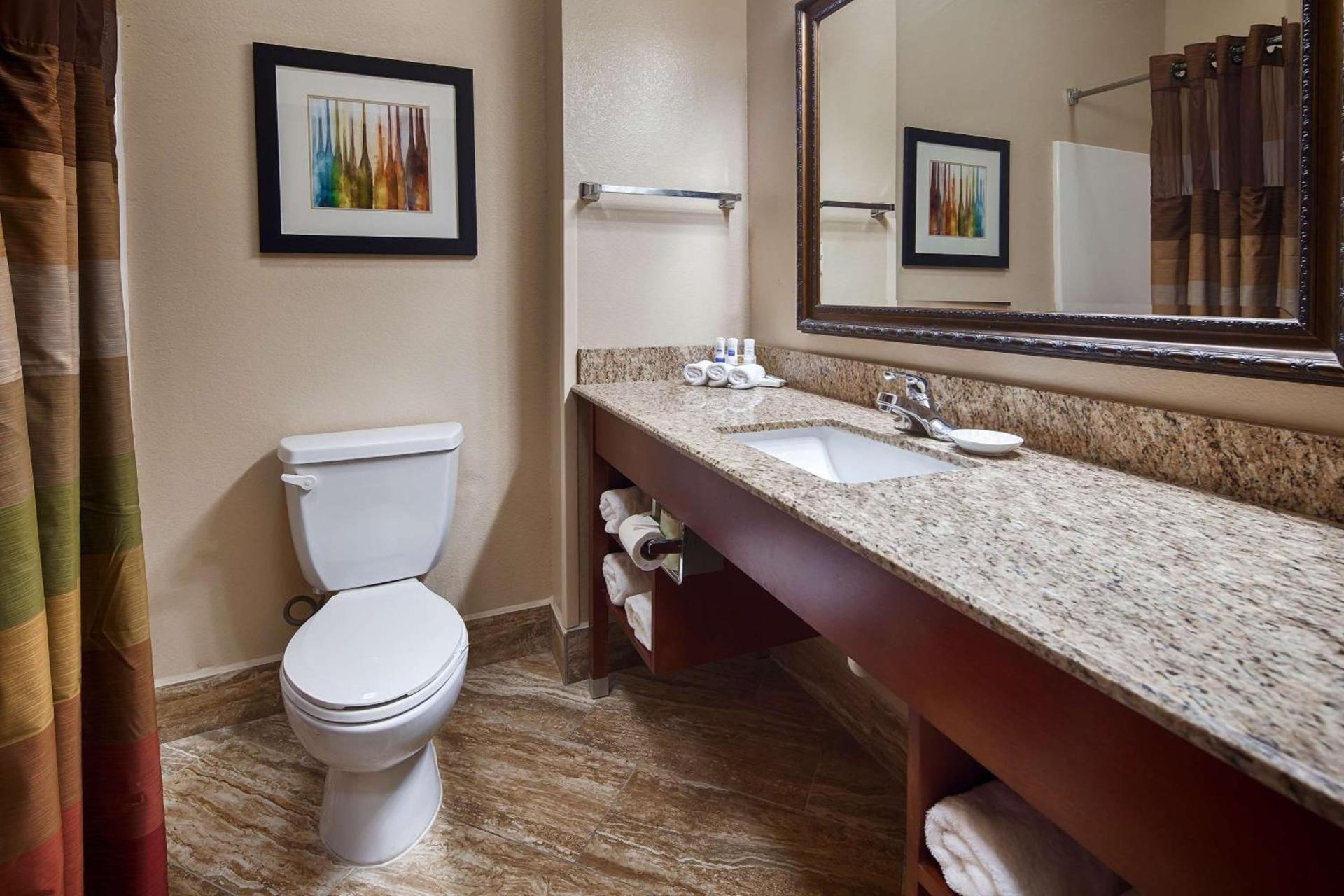 Best Western Plus Monahans Inn and Suites photo 16