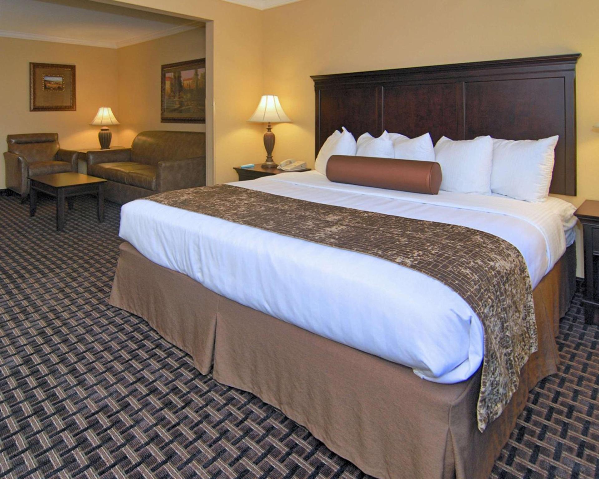 Best Western Plus Southpark Inn & Suites photo 16
