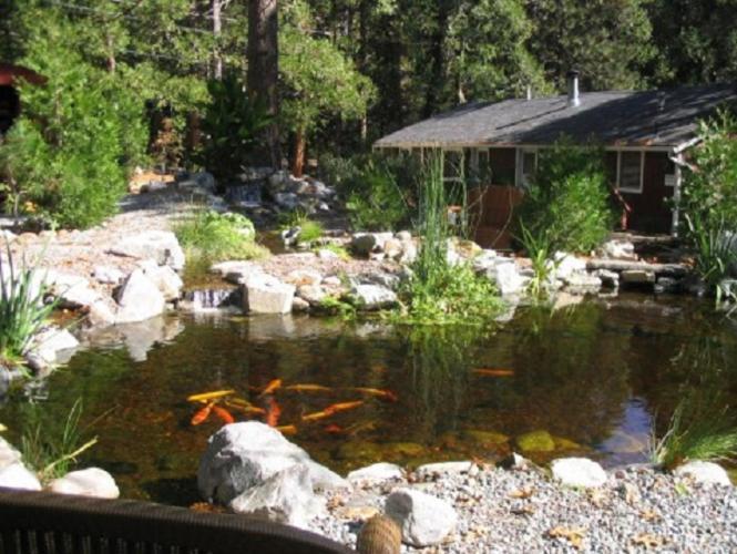 Silver Pines Lodge photo 20