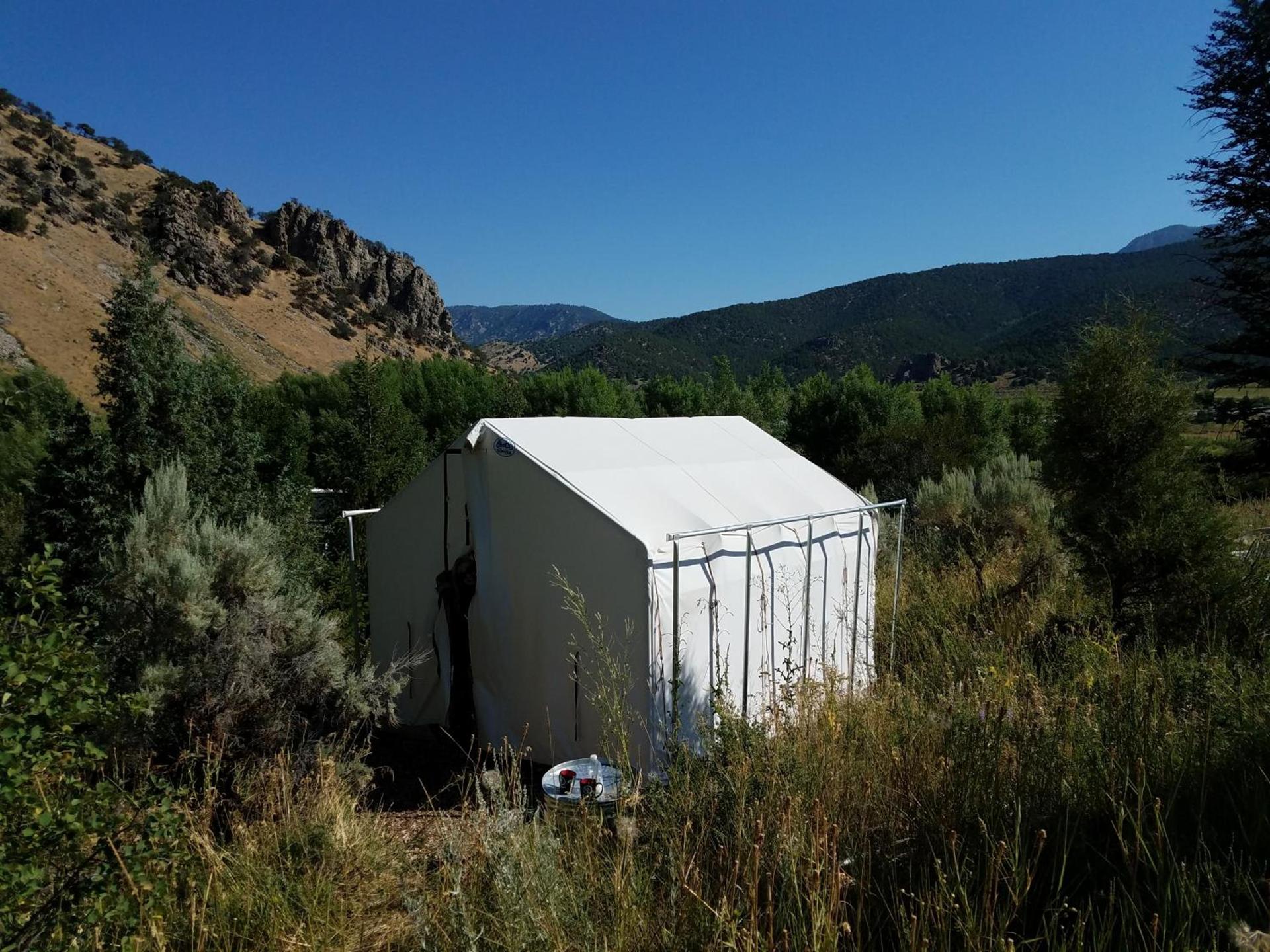 Bristol Cabins photo 30