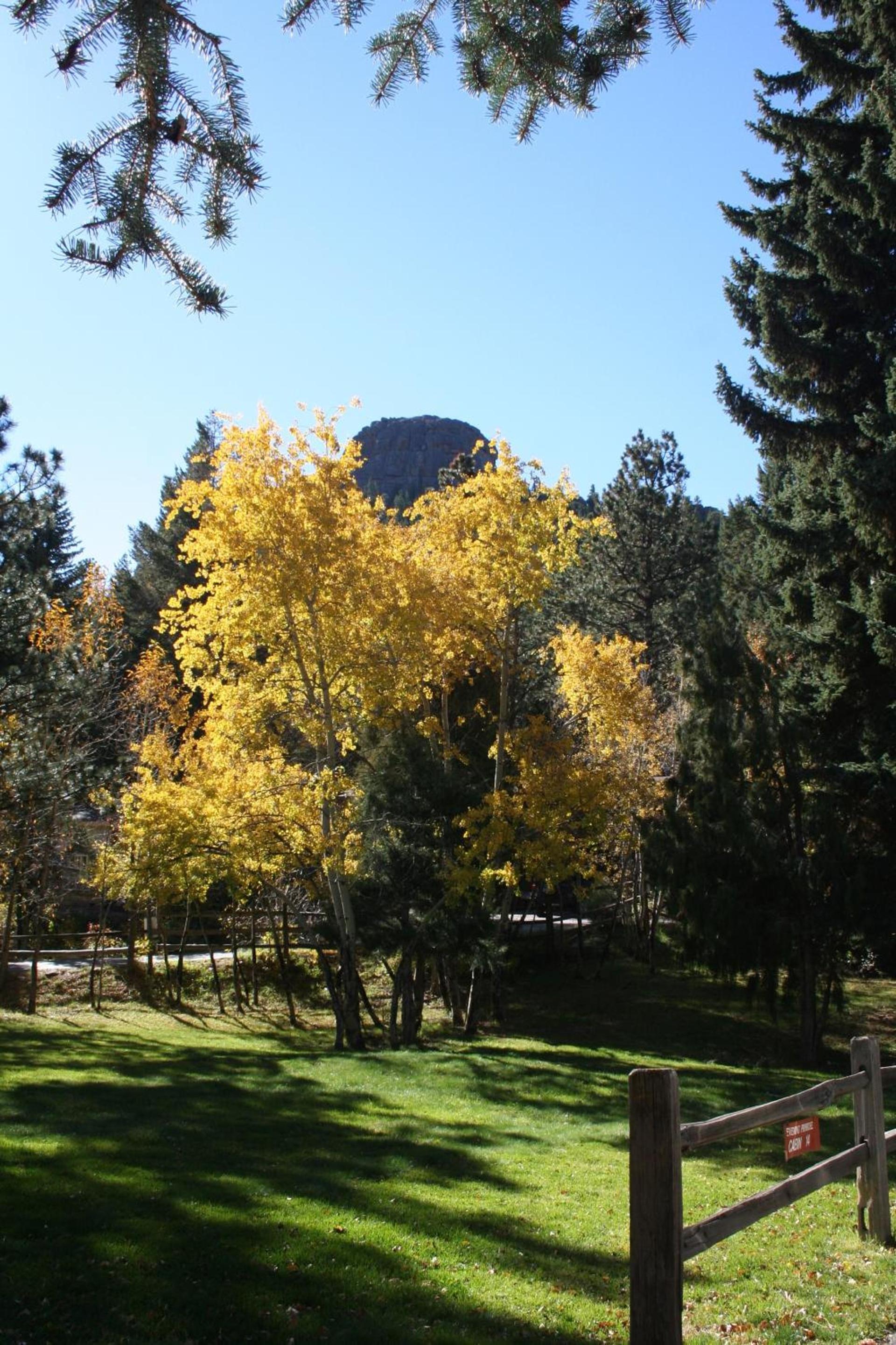 Streamside on Fall River photo 12