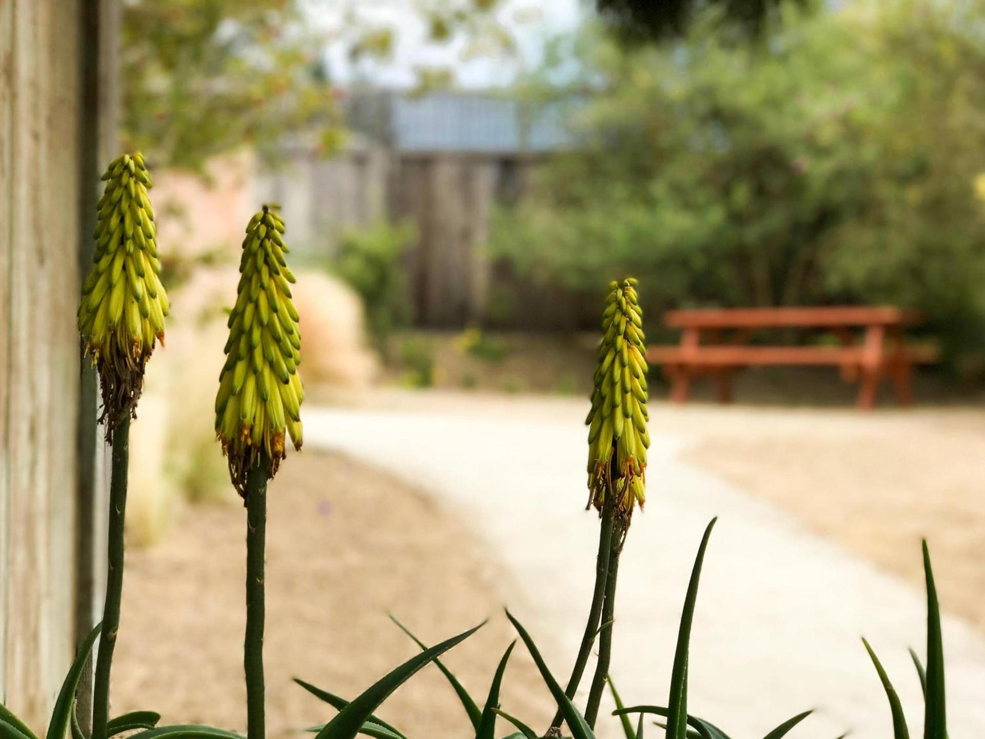 Bodega Bay Inn photo 17
