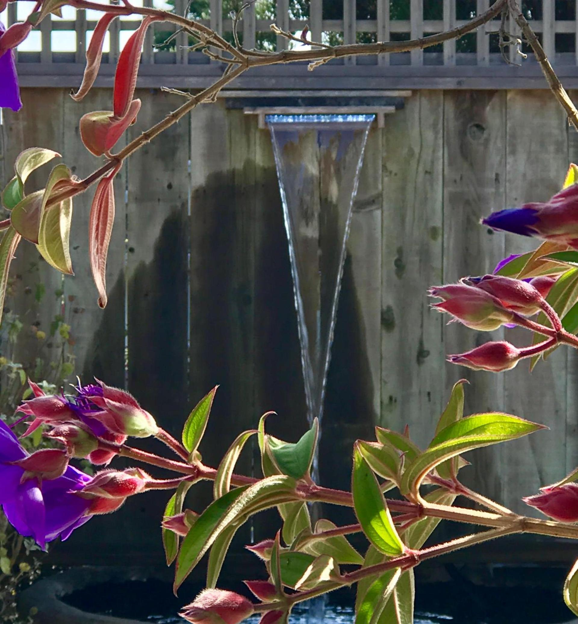 Bodega Bay Inn photo 26