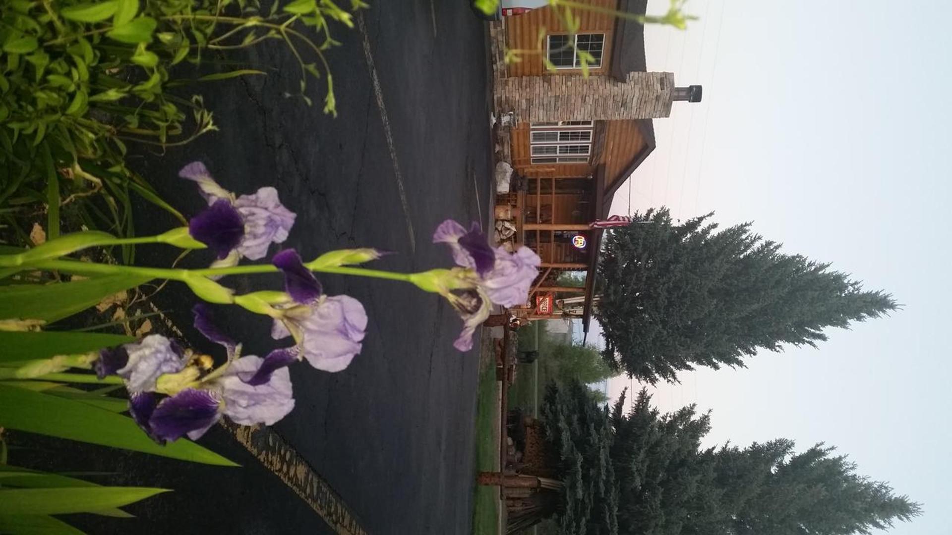 Long Holiday Motel photo 35