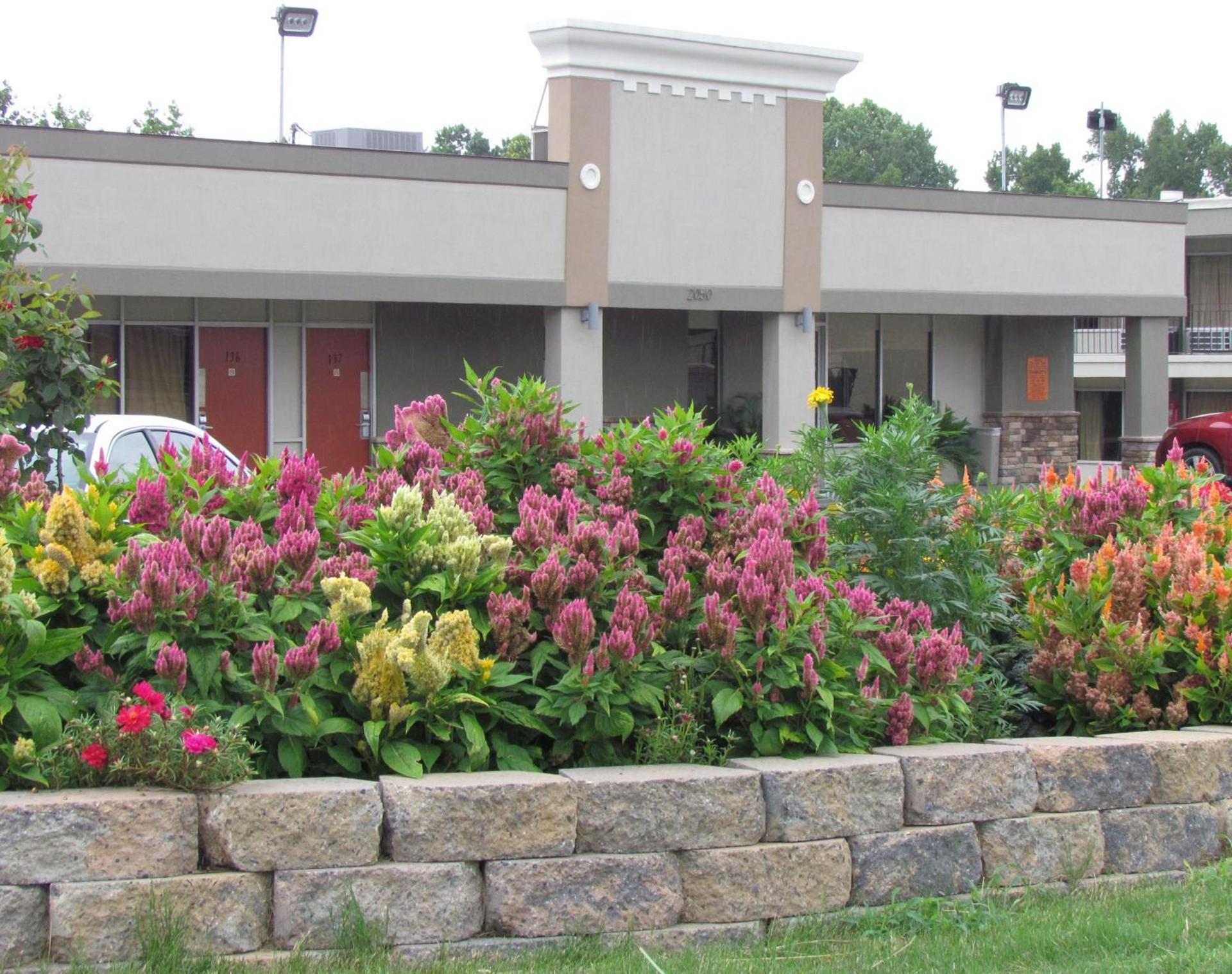 Red Carpet Inn - Augusta photo 1