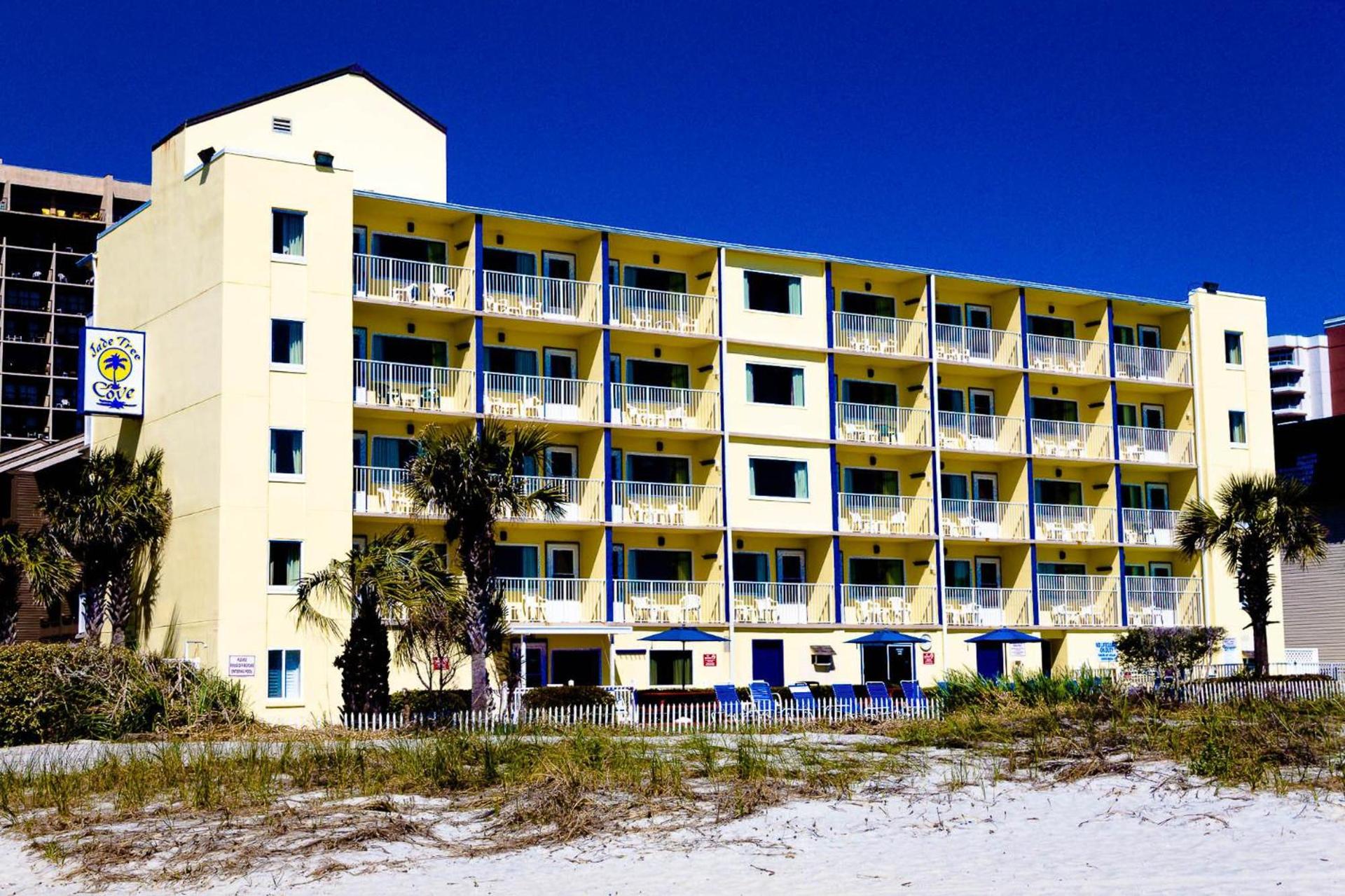 Jade Tree Cove photo 60