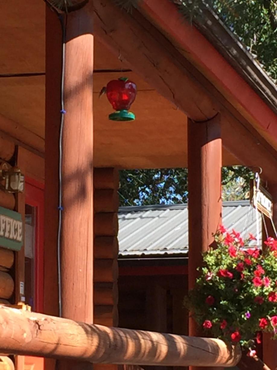 Teton Valley Cabins photo 39