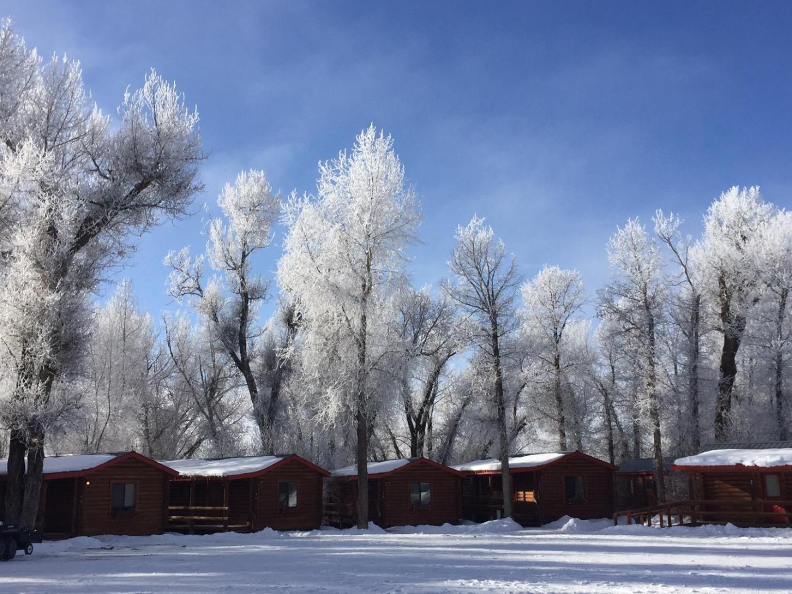 Teton Valley Cabins photo 20