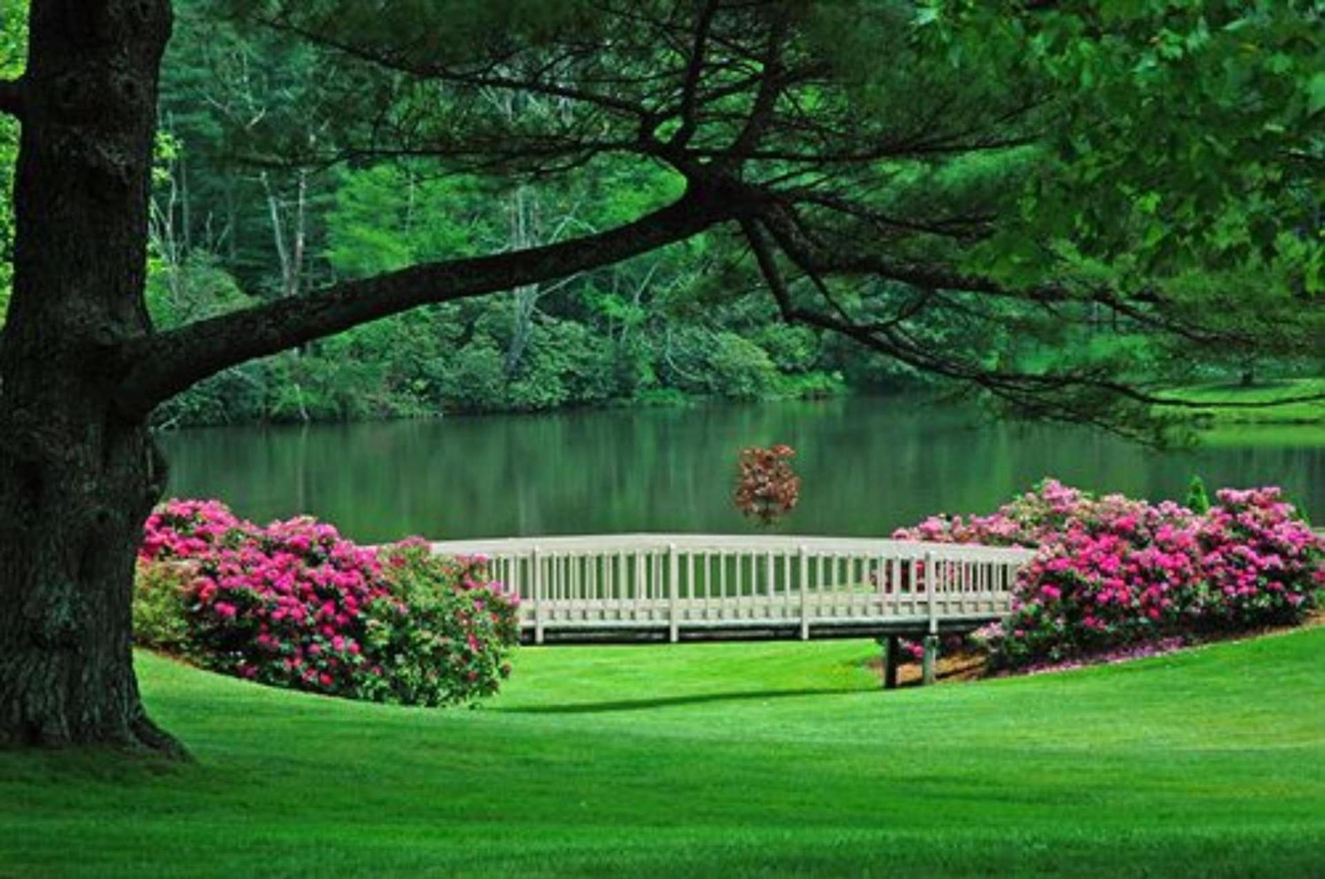Chetola Resort photo 46