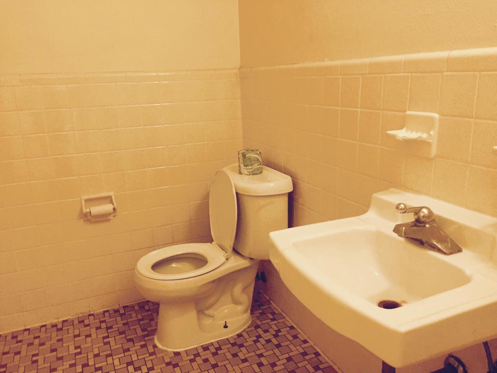 Motel 6 Williamston, NC - Highway 17 photo 12