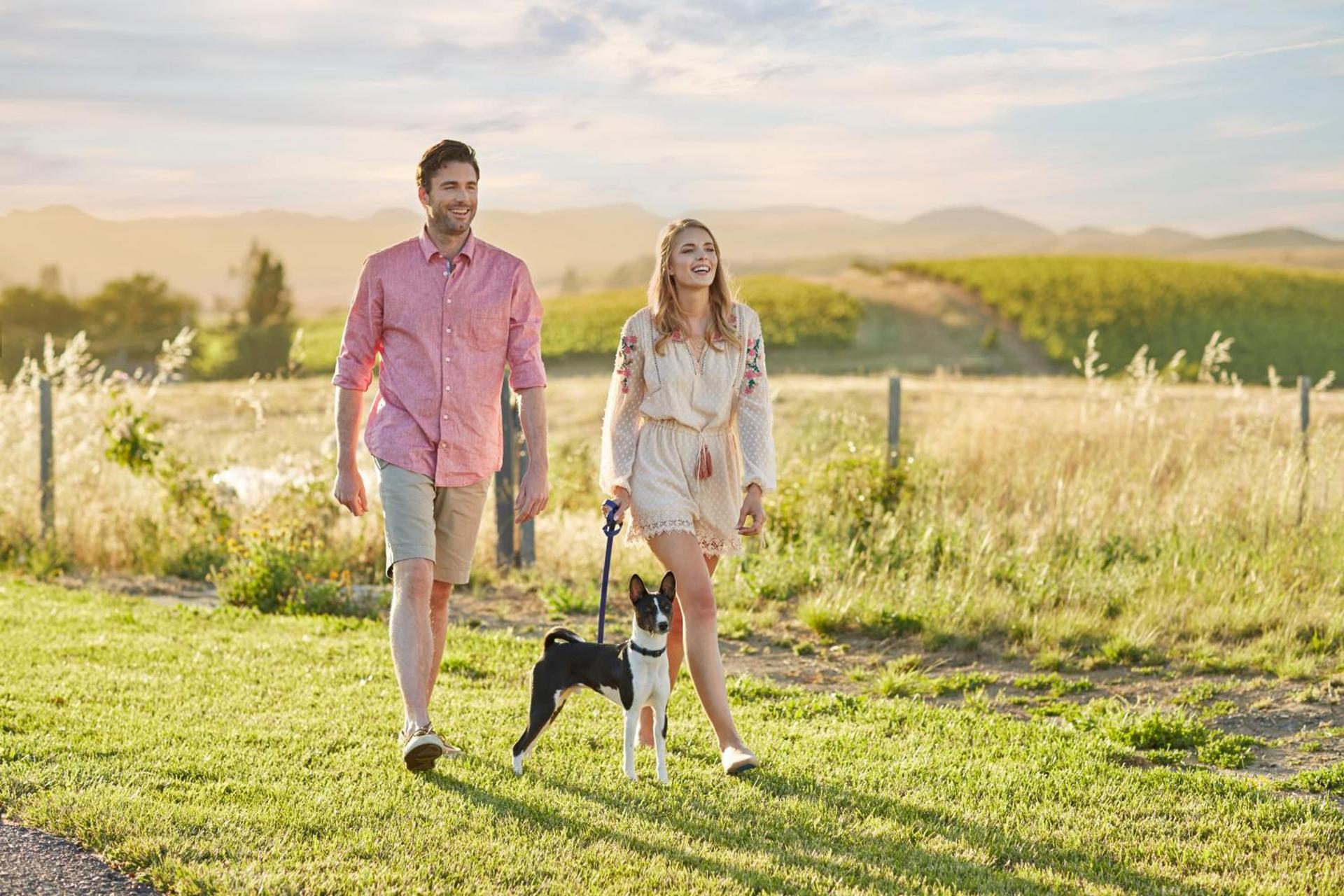 Carneros Resort and Spa photo 28