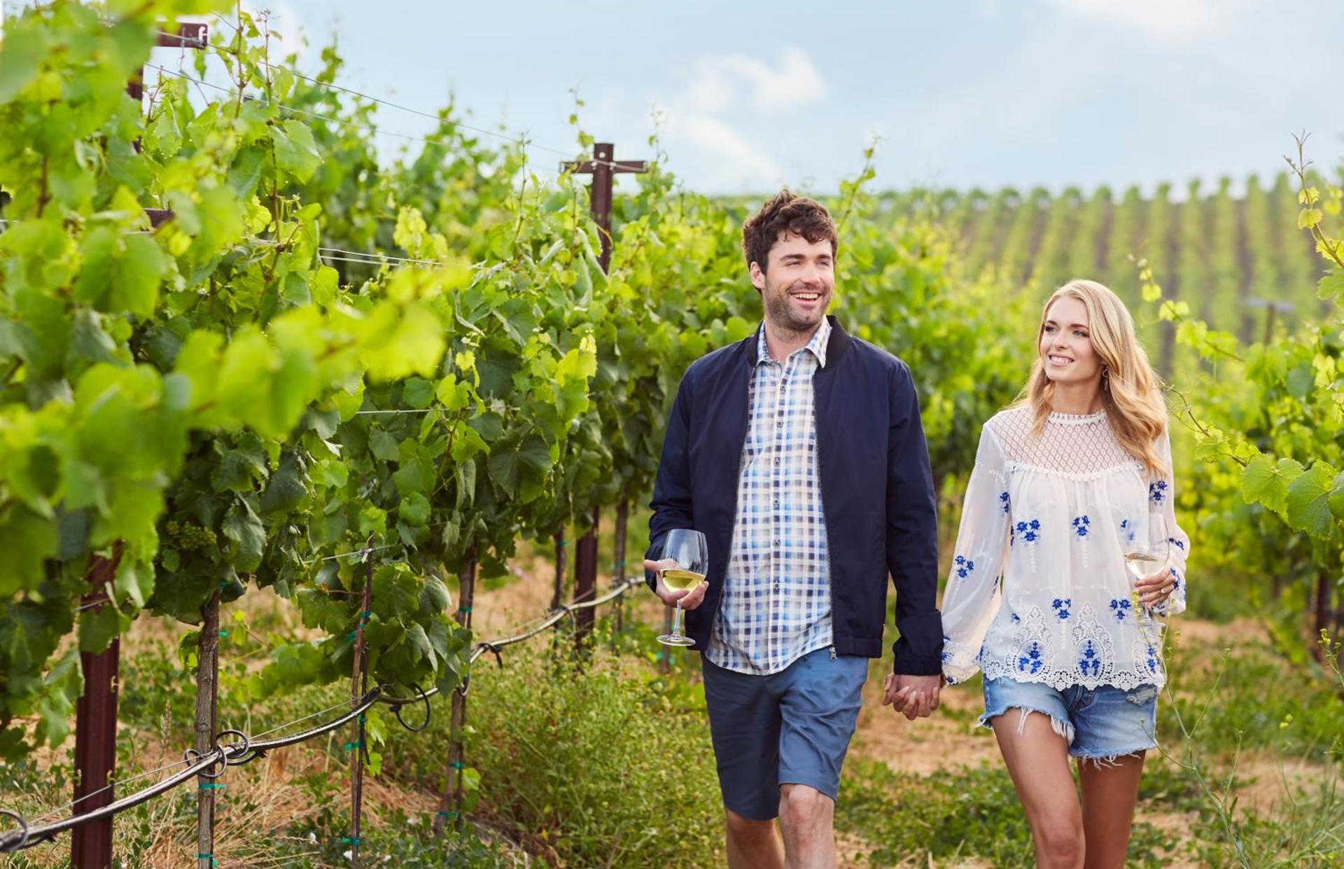 Carneros Resort and Spa photo 30