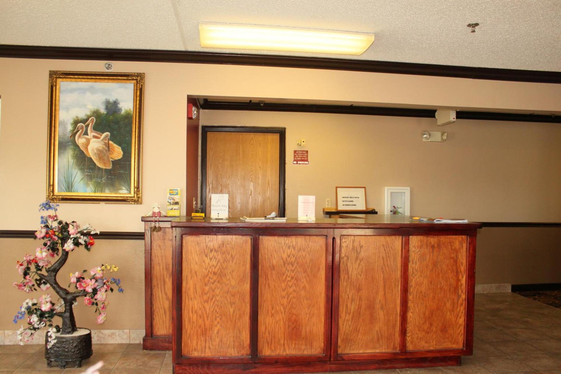 Holiday Lodge photo 12