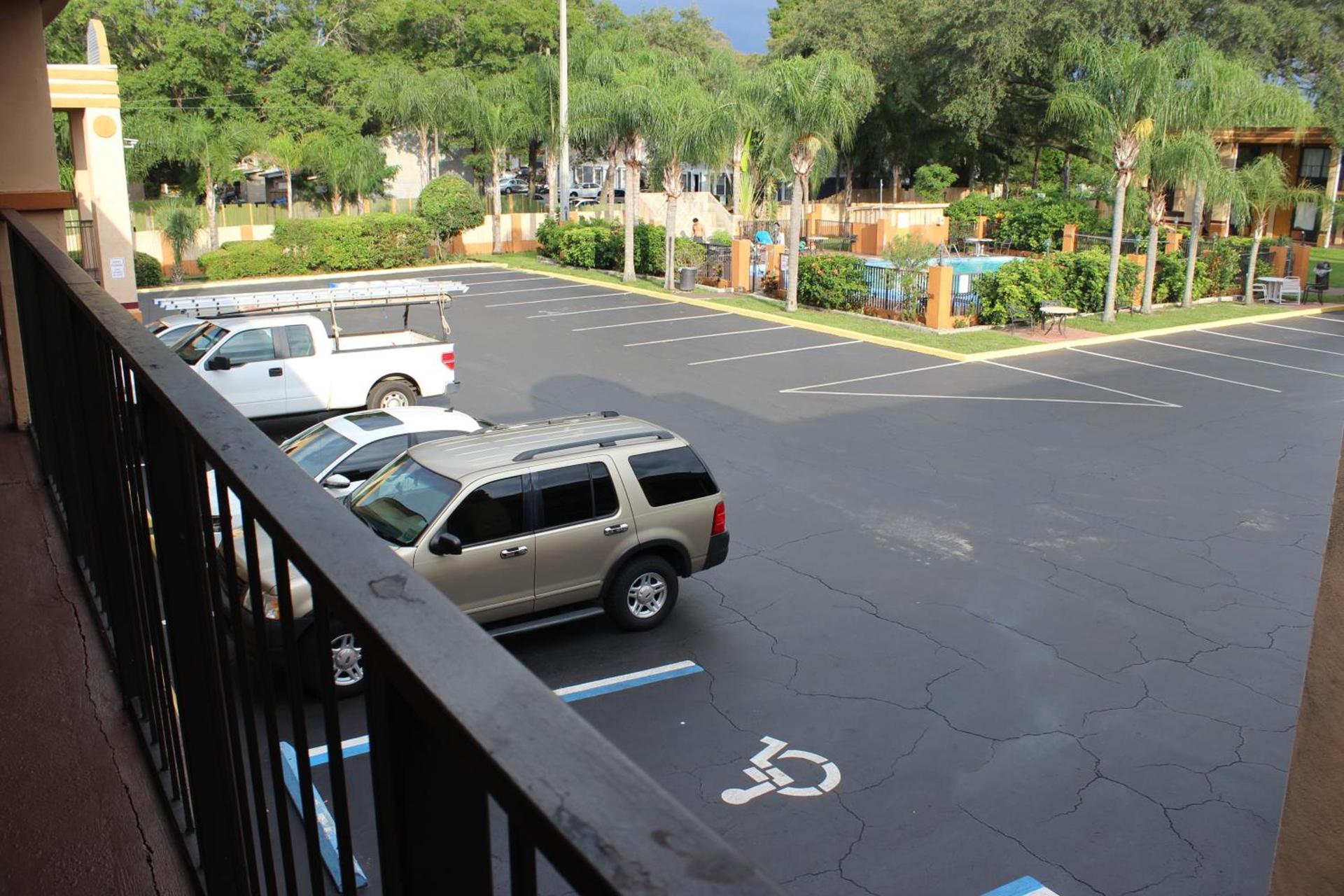Tampa Inn Near Busch Gardens photo 32