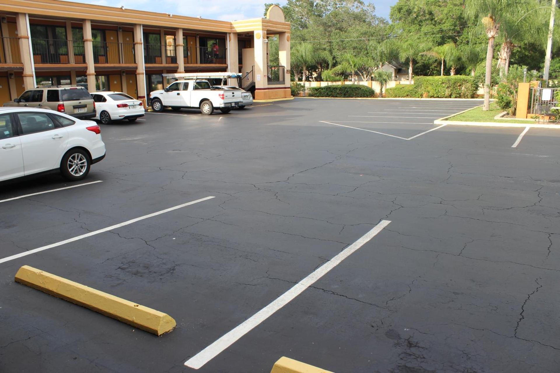 Tampa Inn Near Busch Gardens photo 33