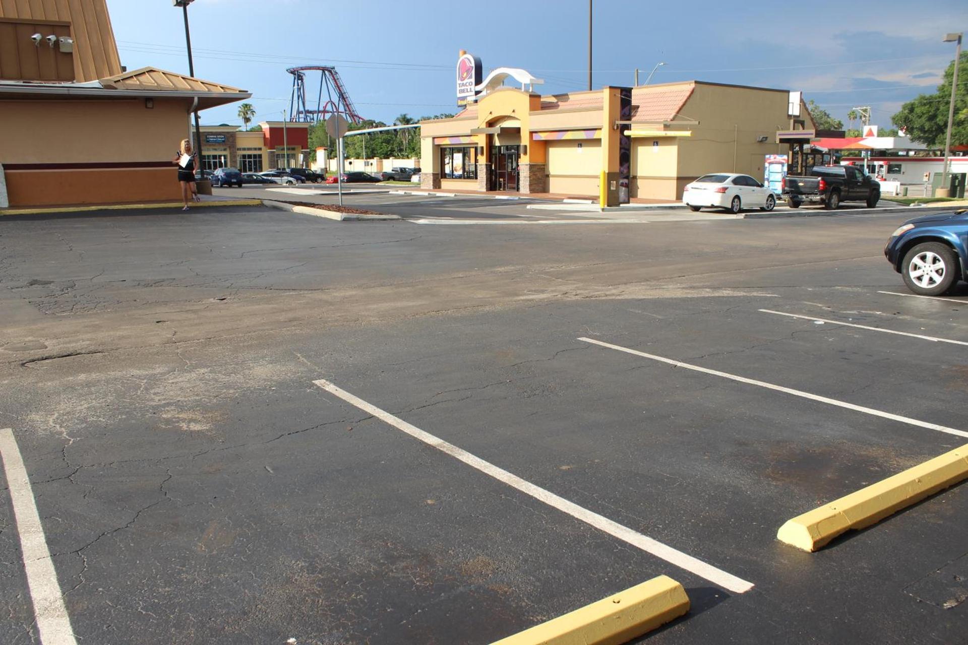 Tampa Inn Near Busch Gardens photo 36