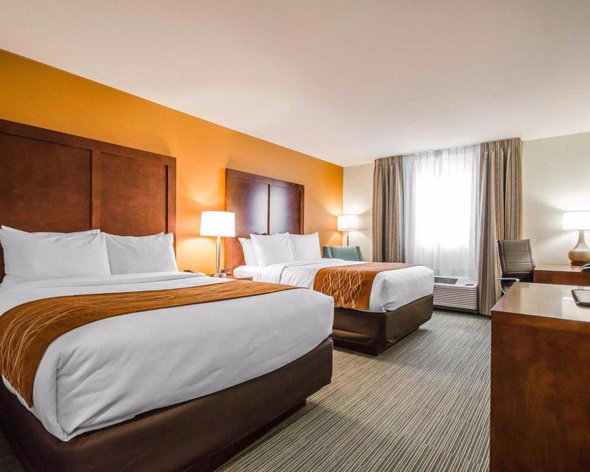Comfort Inn Ferdinand photo 8