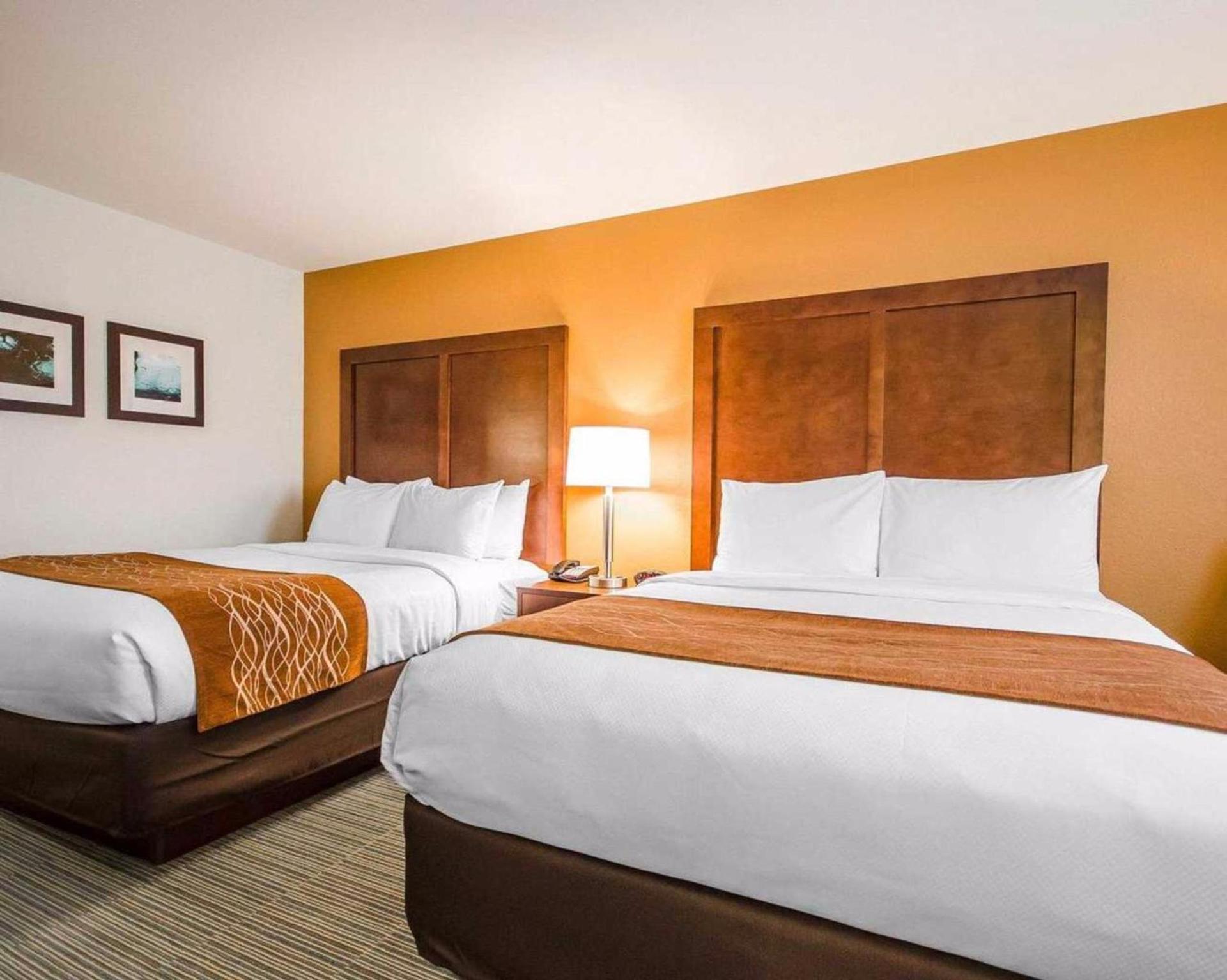 Comfort Inn Ferdinand photo 26