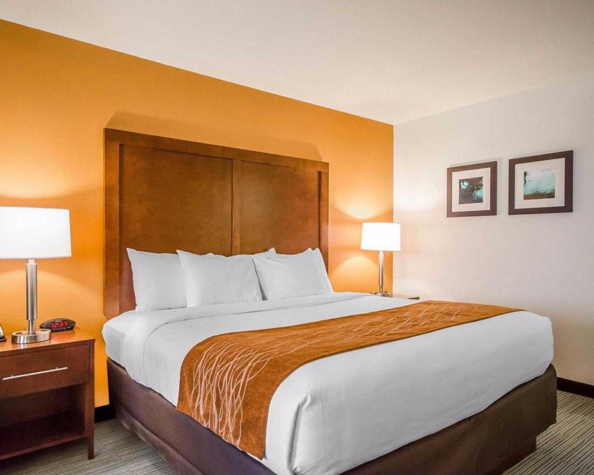 Comfort Inn Ferdinand photo 25
