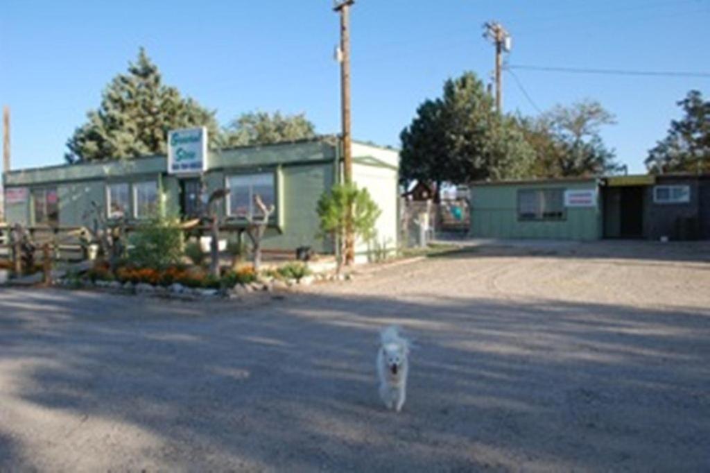 Olancha RV Park and Motel photo 8